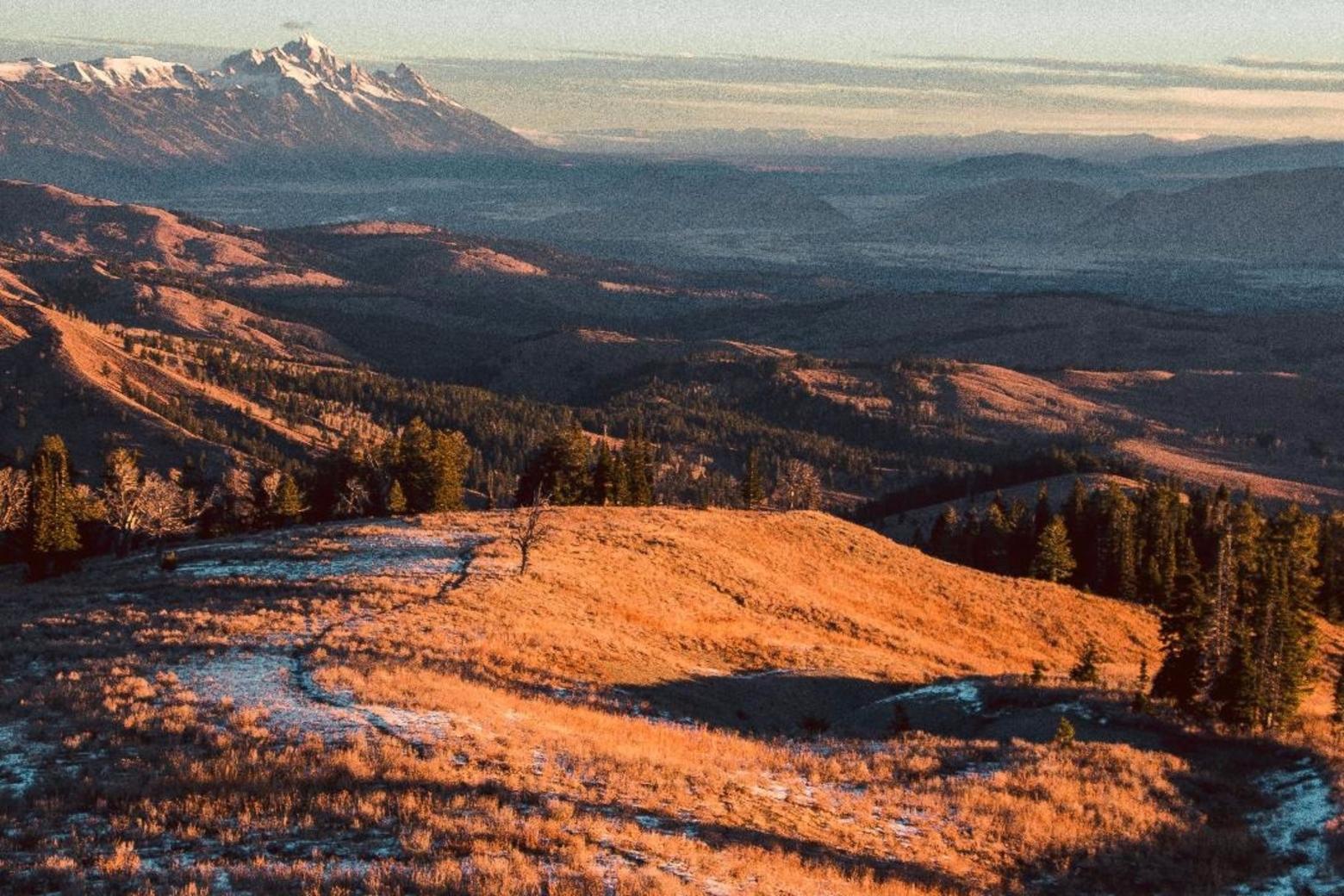 The Palisades Wilderness Study Area south of Jackson Hole  looking north toward the Tetons. Holding huge ecological importance for wildlife and Greater Yellowstone's sense of solitude, the Palisades WSA, like others in the reigon, have also been largeted by user groups—motorized and mountain bikers—illegally blazing trails in lands managed by the U.S. Forest Service.  Photo courtesy Kevin Moe