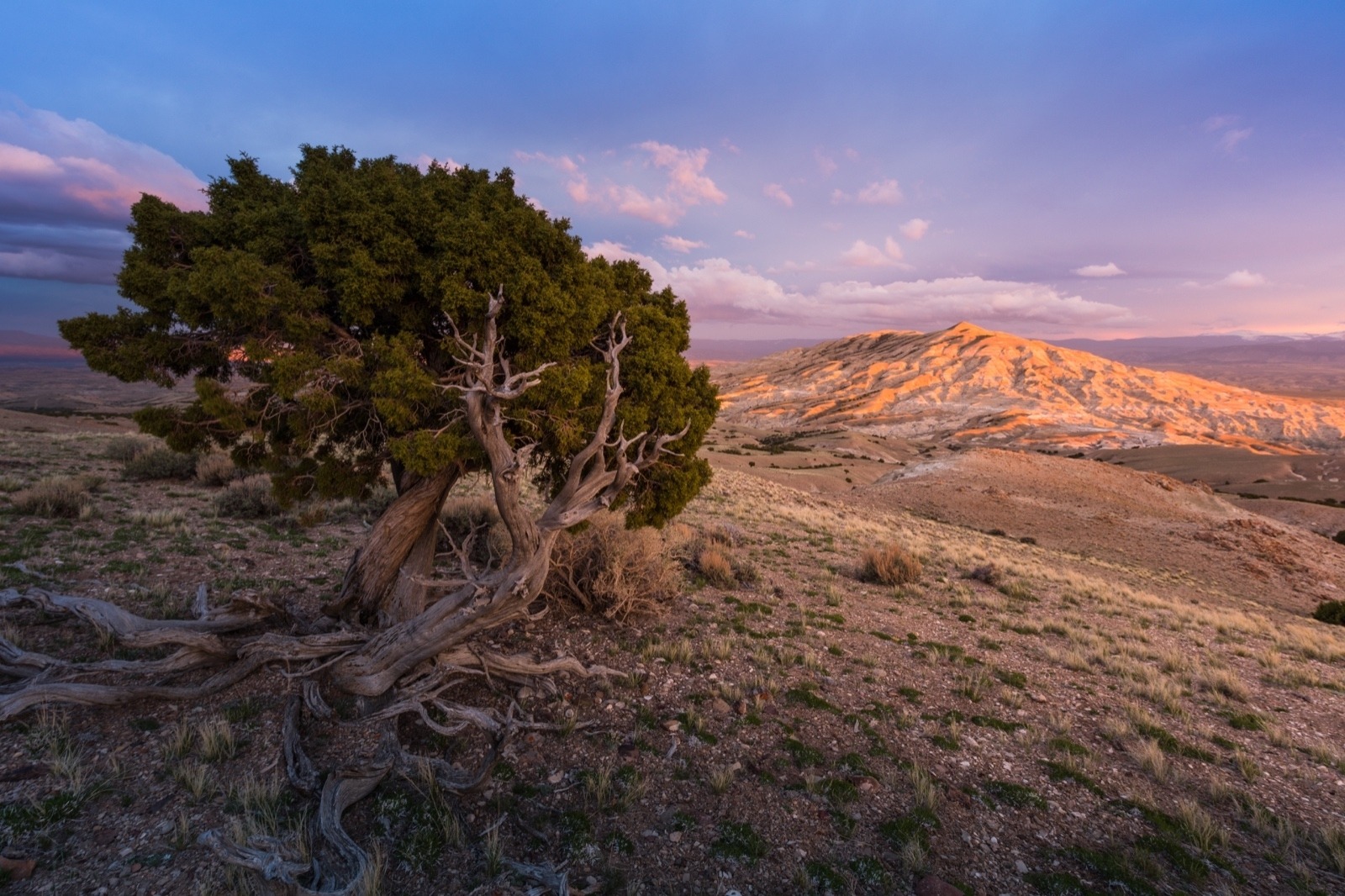 Twin Buttes Wilderness Study Area astride of the Devils Playground WSA in Wyoming. Photo courtesy Nicolaus Wegner
