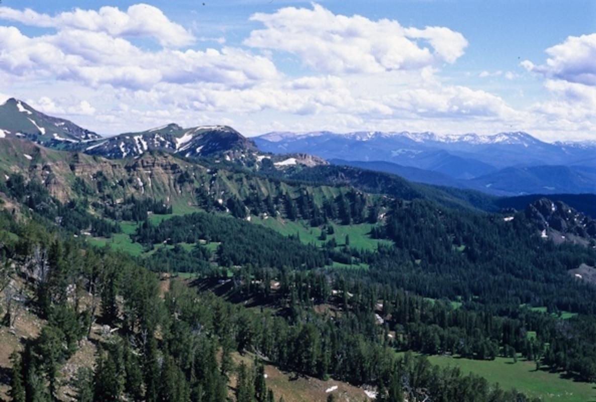 The Porcupine drainage, hub of an expansive wilderness study area, is considered an untrammeled crown jewel and will be increasingly important as a refuge for wildlife stressed by climate change. Writes the Montana Wilderness Association: " this corner of the Greater Yellowstone Ecosystem is one of the few places left with nearly the full complement of species that were here when several tribes hunted in the area and when Lewis and Clark made their journey west."  Photo courtesy George Wuerthner