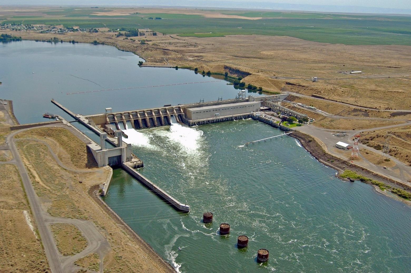Ice Harbor Dam on the Lower Snake River. With salmon and steelhead runs teetering on the edge of total collapse, is the era of denial over the devastating impacts of dams on fish finally over?  Federal policies allow the killing of upwards of 90 percent of the salmon and steelhead spawning runs.  Fish conservationists may have found an unlikely hero.