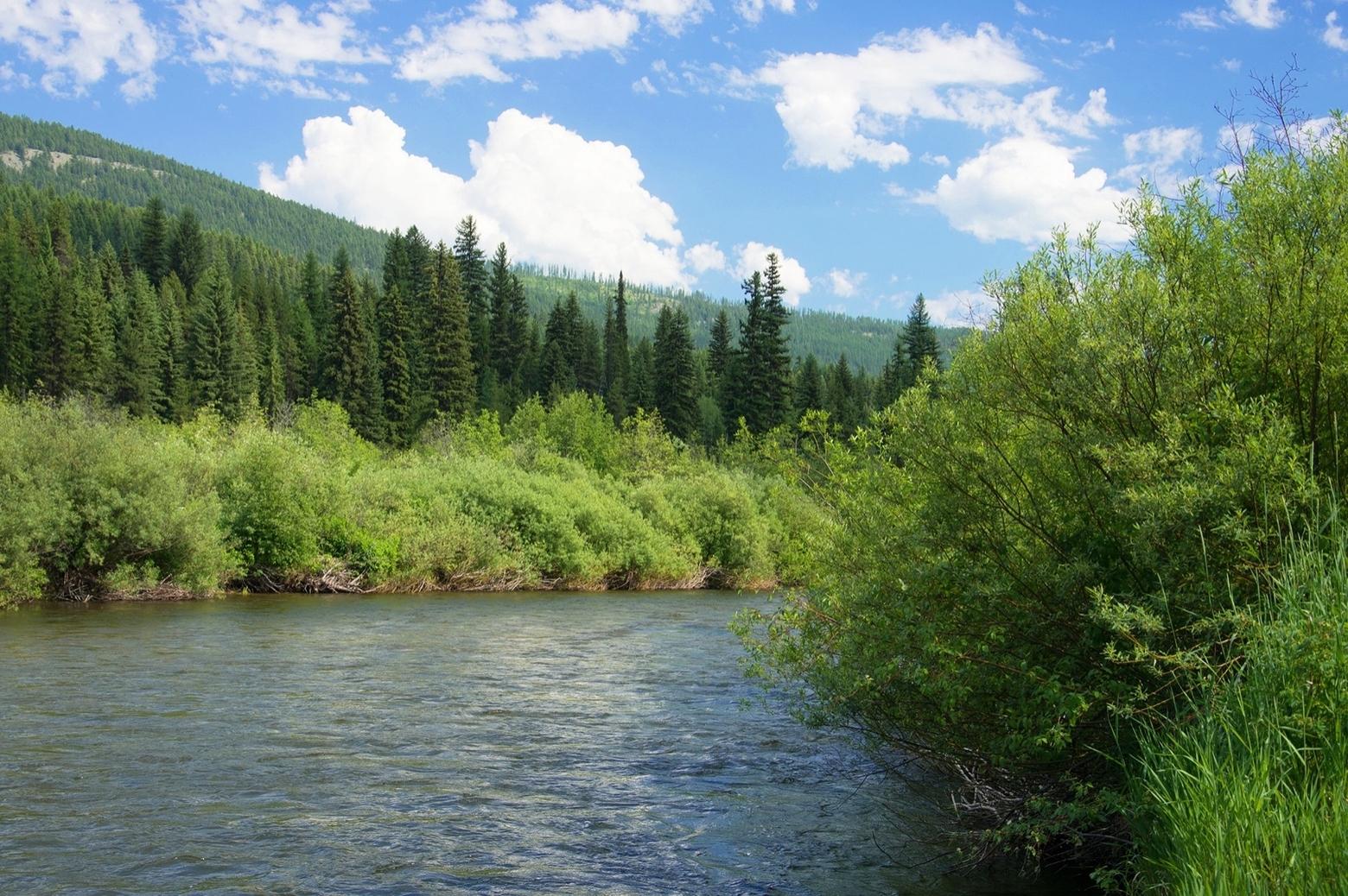 With climate change, river corridors, like this along the Yaak River, will become ever-more important for grizzly bears and other wildlife; hence, one of the reasons why Rick Bass and others want the Pacific Northwest Trail routed away from such rich pathways of habitat.  Photo courtesy US Forest Service 