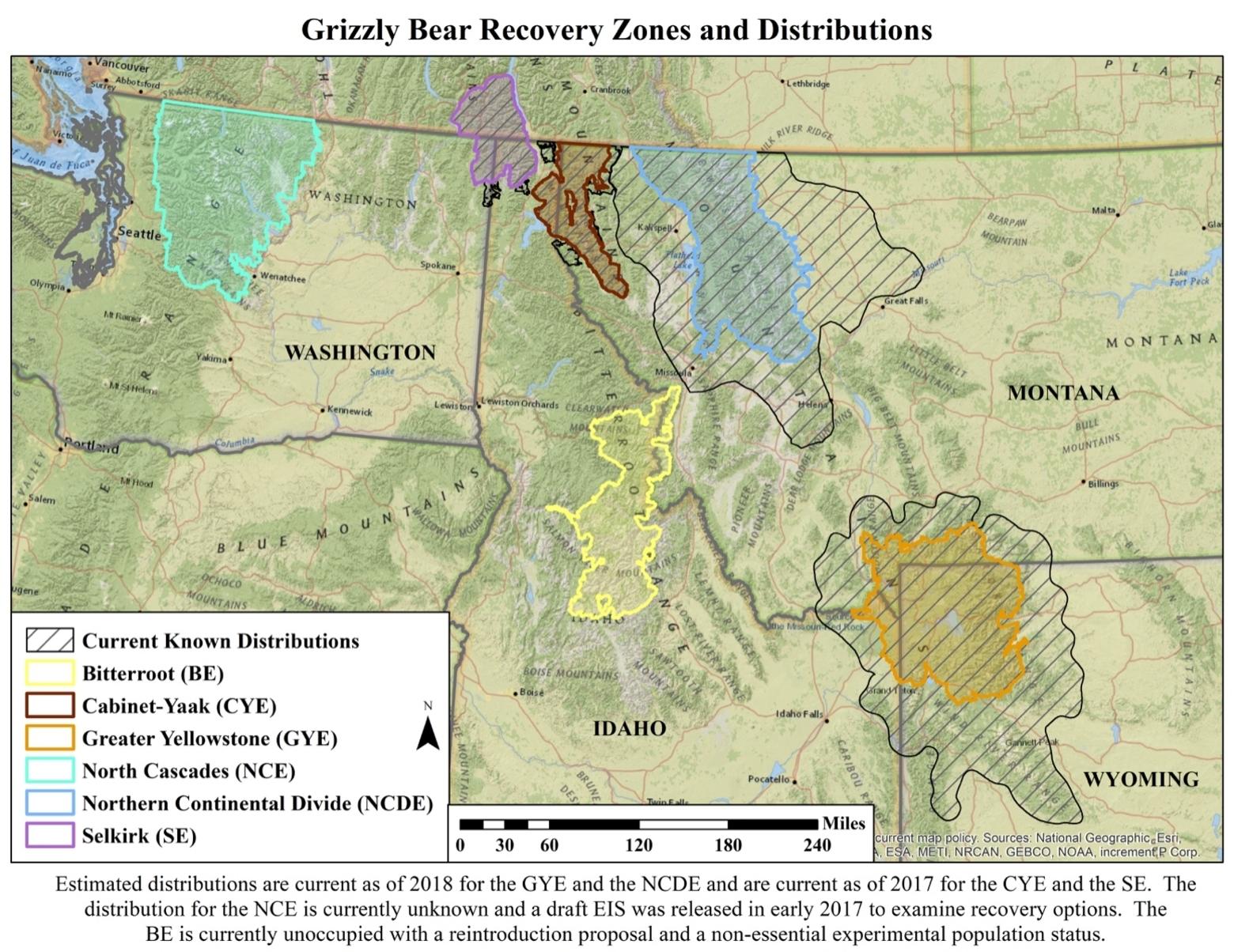 The federal government's map identifying the five different ecosystems holding grizzly bears in the Lower 48; all of which are "biological islands" unconnected to one another.  The one in brown at the top is the Cabinet-Yaak Ecosystem and the one in yellow, below it, is the Selway-Bitterroot Ecosystem of northern Idaho and western Montana. There is no grizzly population there today but it's been identified as grizzly-friendly wild lands and a key place which could help connect bear in the Greater Yellowstone Ecosystem, to the south, with bear populations to the north. Map courtesy US Fish and Wildlife Service.