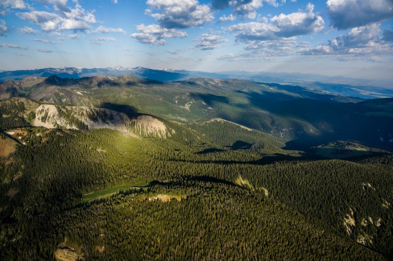 While the peaks of the Gallatin Range catch the eye, it's their forested drainages, like Porcupine and Buffalo Horn creeks, that are cradles of biological diversity and provide undisturbed habitat for wildlife. These areas serve as refuges that will grow in their importance as landscape development occurs and the impacts of climate change land harder.  Many scientists say the best way to protect these areas is as wilderness. Photo courtesy EcoFlight (ecoflight.org).  Mountain Journal recommends that you support EcoFlight.