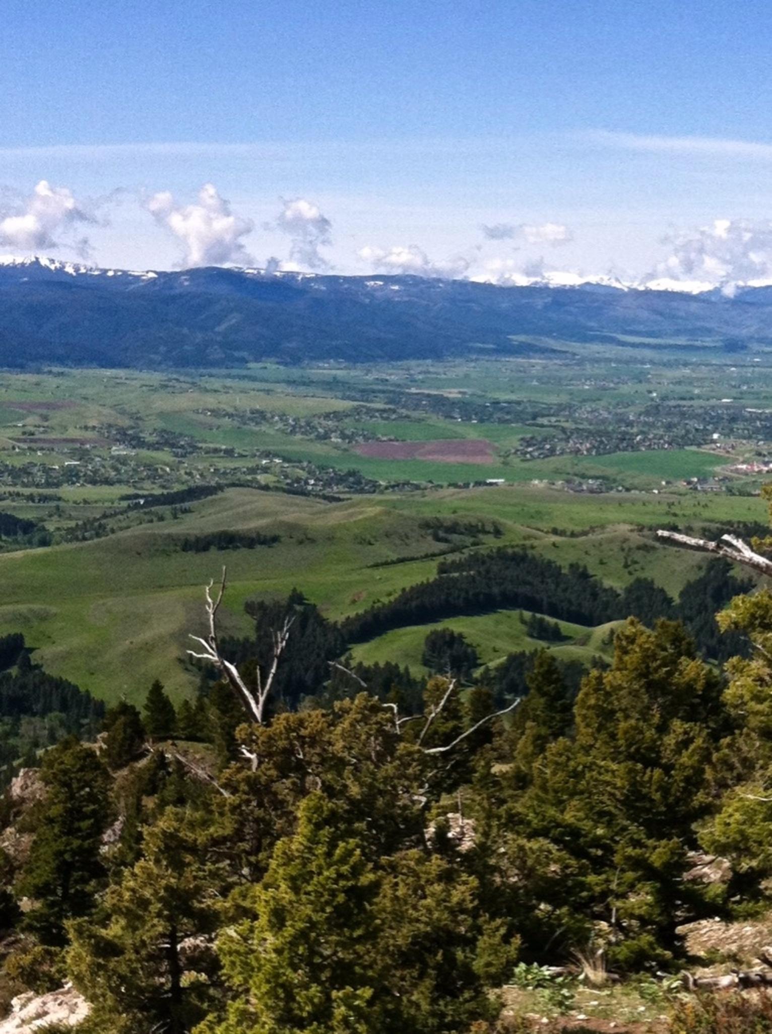 From the top of the Bridger Mountains, the Gallatins rise in the distance at the south end of Bozeman. In-between those ranges, sprawling development is rapidly filling in, one harbinger of how wildlands and wildlife are going to face increasing human pressure in the future. Photo by Todd Wilkinson