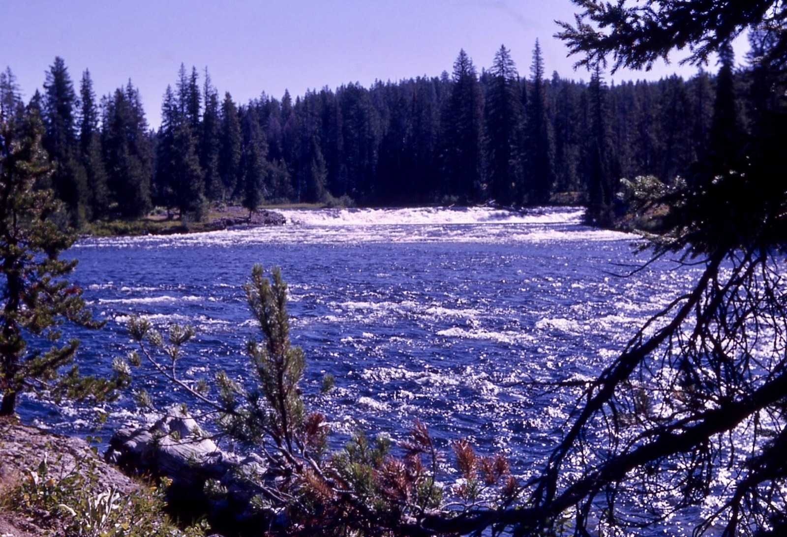 In the 1920s, farmers and irrigators in Idaho worked to muster support from the U.S. Department of Interior to build a dam and impoundment on the Fall River, pictured here, to give them more water for growing crops.  It would have come at a huge ecological cost to the southwest corner of Yellowstone, also known as the "Cascade Corner" because of its abundance of waterfalls. It also would have affected wildlife habitat and angling. It was almost built.  Photo courtesy NPS 