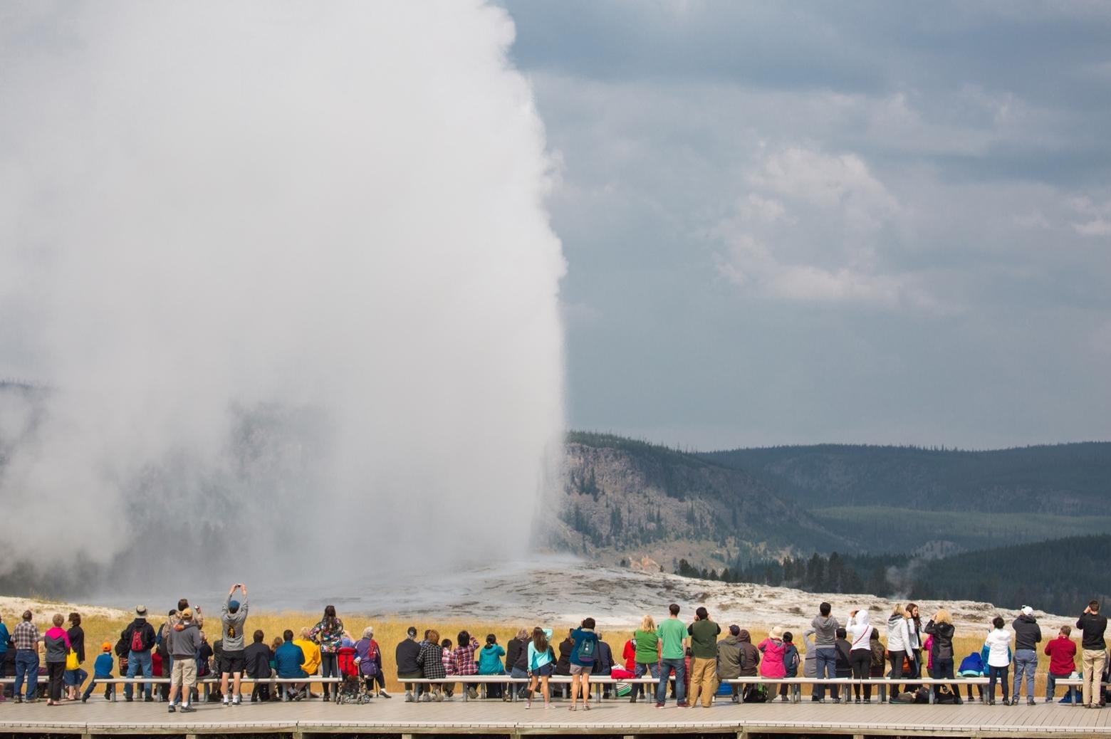 A crowd gathers to watch Old Faithful erupt. Photo courtesy Heal Herbert/NPS