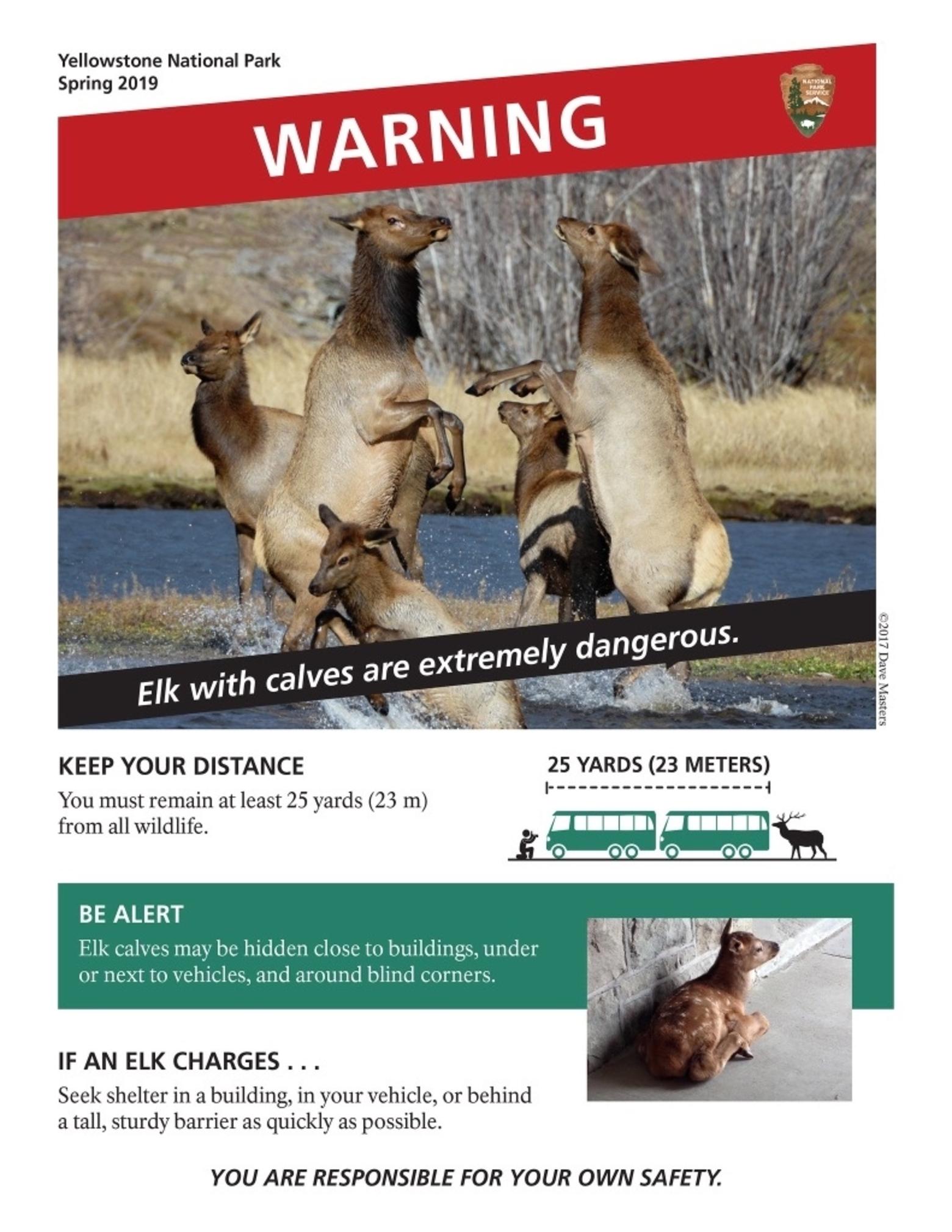 A special advisory created by Yellowstone and circulated on social media in an attempt to reduce the number of dangerous encounters between visitors and wildlife. Many say the awareness campaign, thanks to viral circulation, is working. Image courtesy Yellowstone National Park