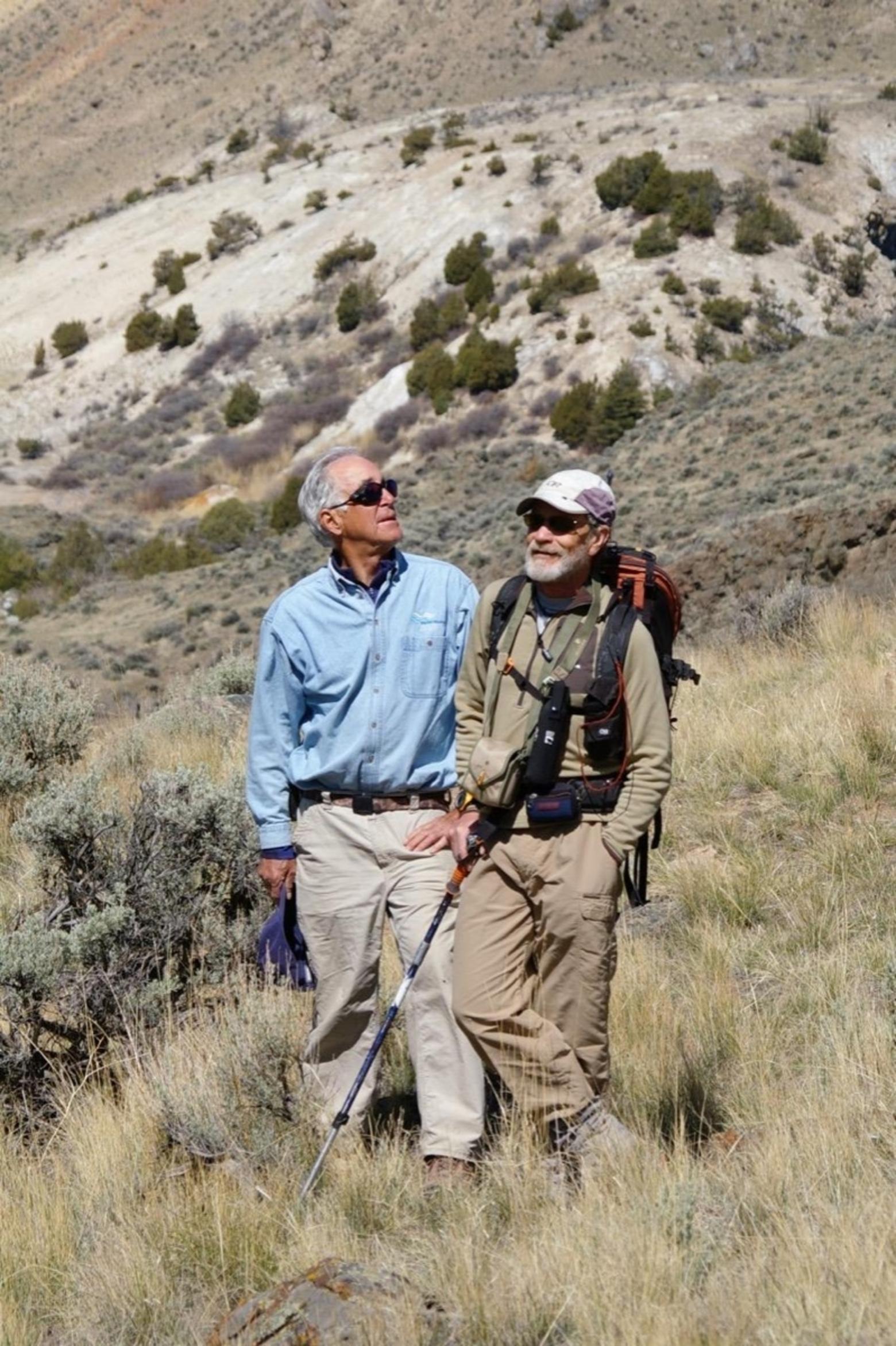 Gilbert and friend, retired Forest Service entomologist Jesse Logan who is an expert in identifying the correlation between rising average temperatures and the loss of whitebark pine to outbreaks of  mountain bark beetles, drought, and fire on top of a pathogen called blister rust. Whitebark pine produce nutritious nuts in their cones that grizzlies love to eat and help keep them healthy.  But whitebark pine have rapidly disappeared, causing grizzlies to seek other sources of food putting them in conflict with people.  Here, Gilbert and Logan hike along the Yellowstone River corridor looking for bears. Photo courtesy Barrie Gilbert