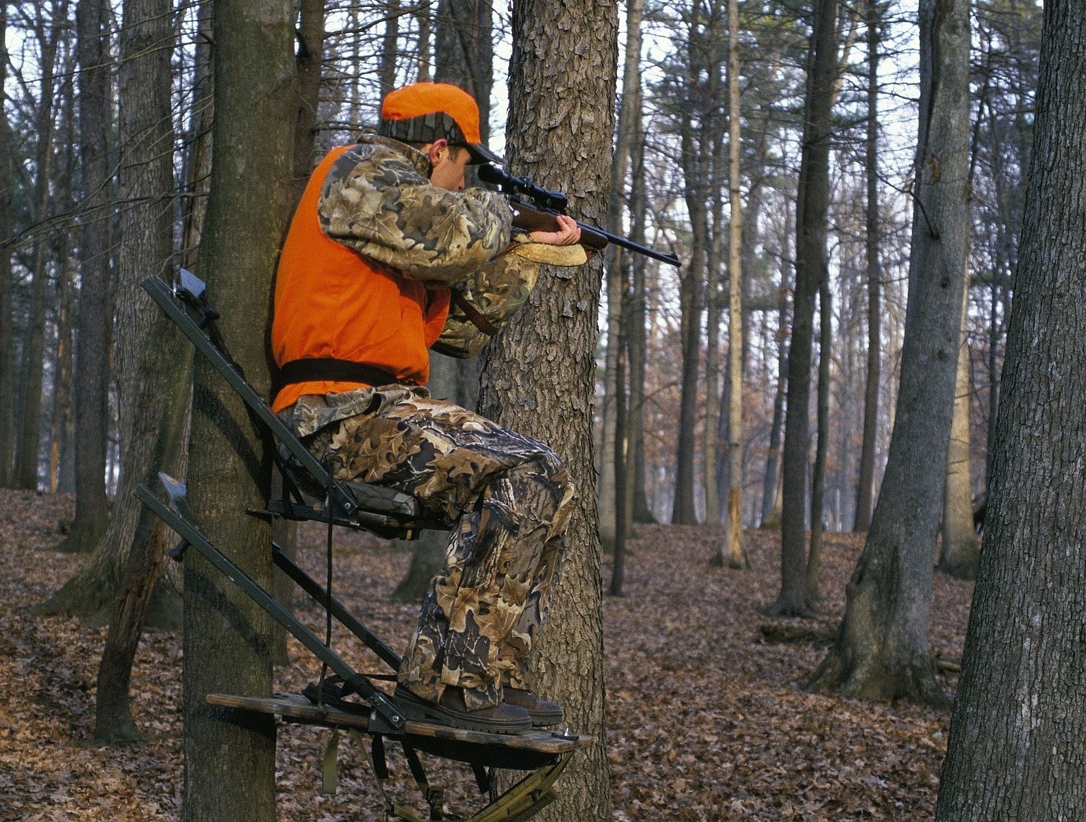 A hunter in the deer stand. Photo courtesy Steve Maslowski/US Fish and Wildlife Service