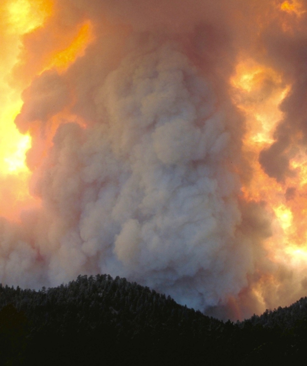A Western wildland fire. Photo courtesy Interagency Fire Center/Bureau of Land Management