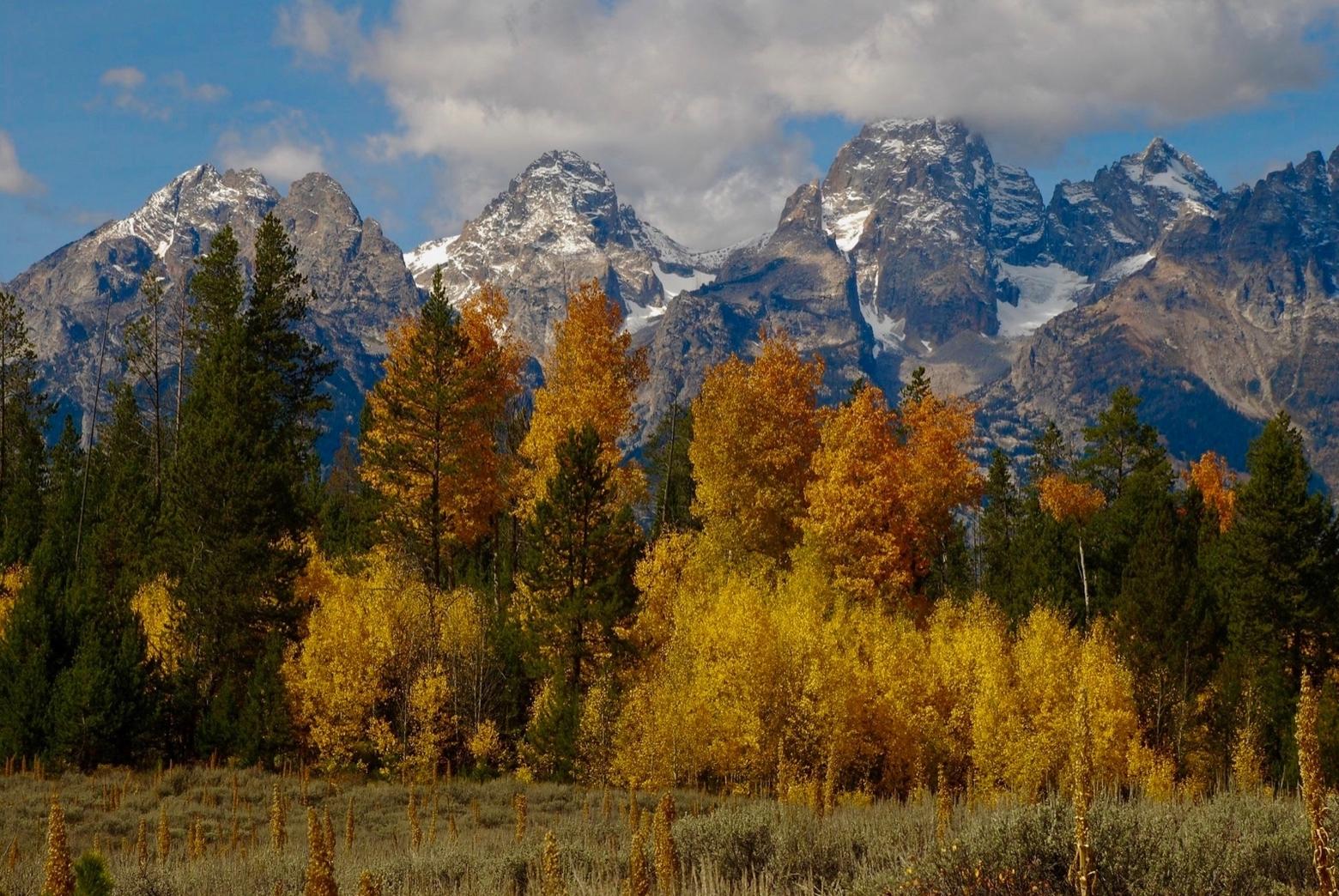 Autumn in the Tetons.  Photo by Susan Marsh