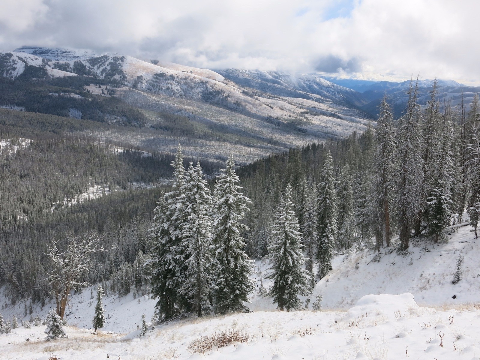 The North Absaroka Wilderness is powder wonderland for backcountry skiers and boarders.  While winter landscapes appear vacant and there for the leaving of tracks, Burritt encourages us to gain an ecological understanding of places we're entering. He reminds that they're home to something and likely barely getting by.  Photo by Todd Burritt