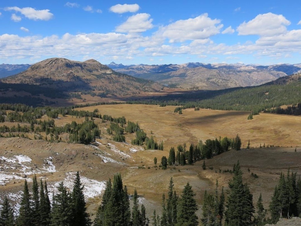 A view of the North Absaroka Wilderness which for its wildlife diversity is compared to the Buffalo Horn and Porcupine drainages in the Gallatin mountains. Photo by Todd Burritt