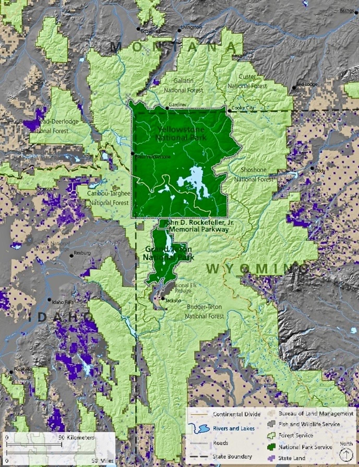 The Greater Yellowstone Ecosystem is one of the most ecologically-intact bioregions in the temperature zones of the world.  At more than 22 million acres, most of its size is comprised of federal public lands (owned by all U.S. citizens) yet four or five million acres of private land are crucial to the survival of wildlife, clean rivers, open space, and rural culture.   Everywhere else in the Lower 48, human population pressure, land converted to development,  and fragmented ownership has resulted in the "wild" characteristics found in Greater Yellowstone being lost.  Map courtesy National Park Service.