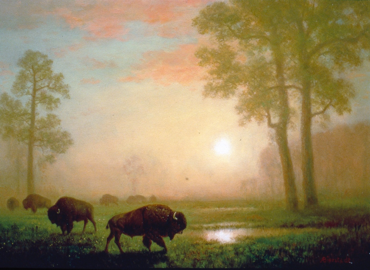"Bison on the Montana Plains" by Albert Bierstadt.  A signature of Ted's Montana Grills are fine art reproductions of classic 19th century paintings portraying the West, part of Turner's personal art collection. Photo courtesy Ted Turner