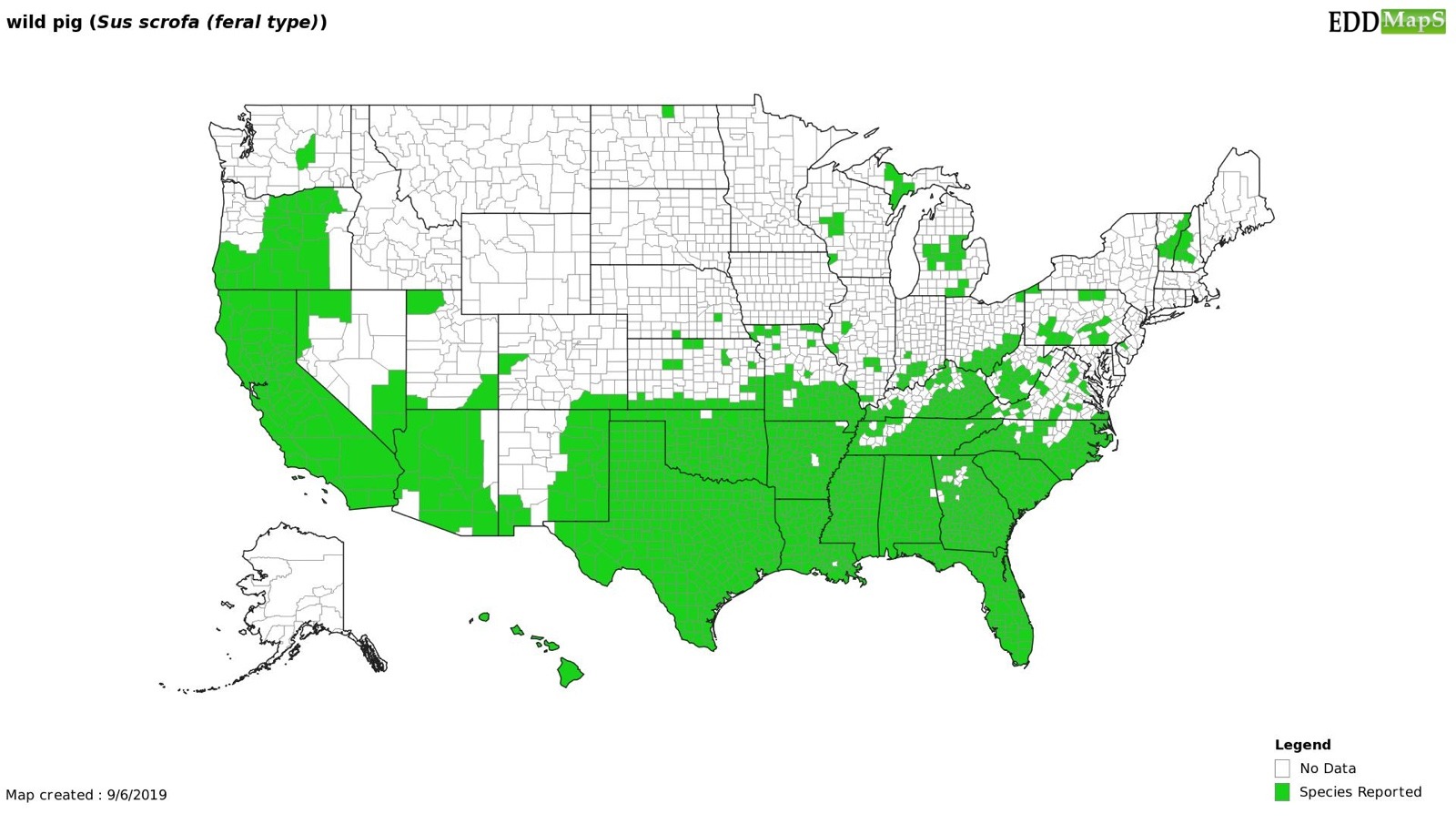 A map showing where feral hogs are confirmed to be. Image courtesy Center for Invasive Species/EDD MapS (www.eddmaps.org)