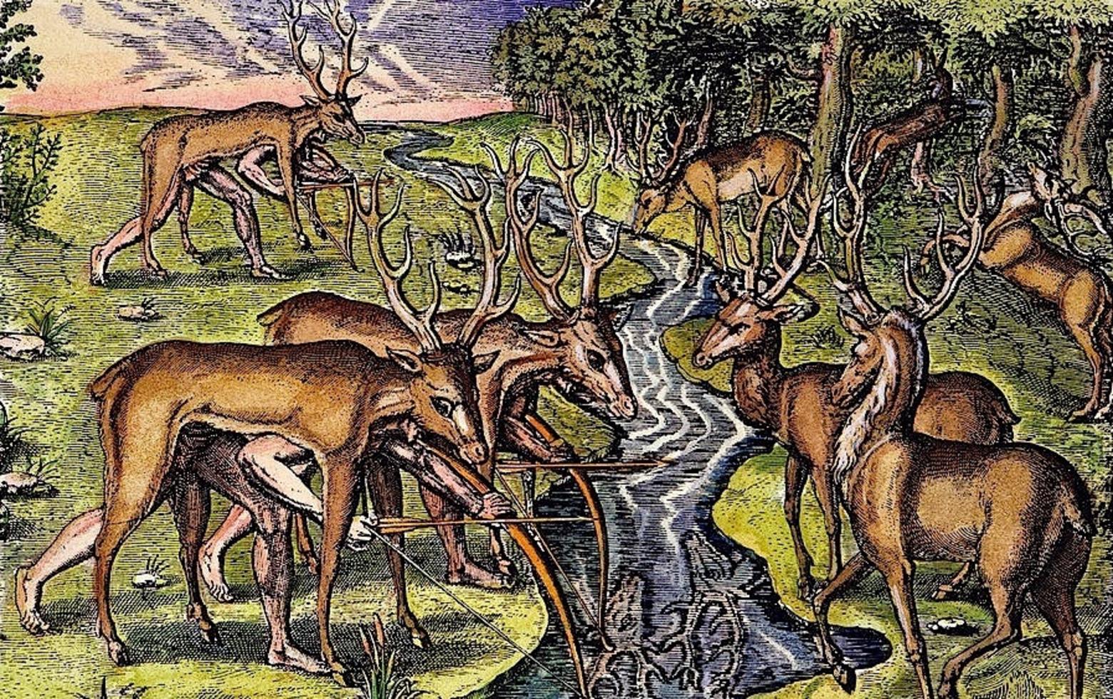Etching of the Timucua hunting deer, 1562