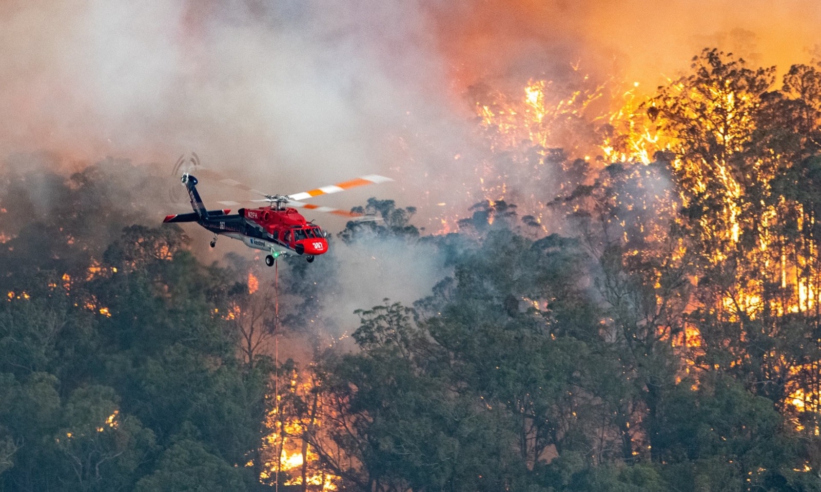 In Australia entire towns are burning along with forests and crucial habitat for wildlife. Photo: State Government of Victoria Handout/EPA