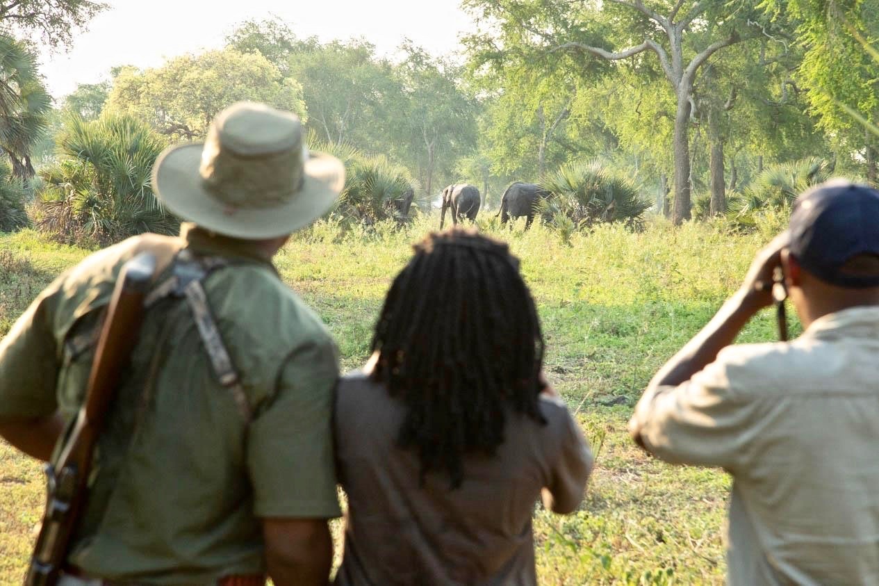 Gaby and colleagues on a walking safari in Gorongosa, watching a family group of elephants. Photograph courtesy Brett Kuxhausen
