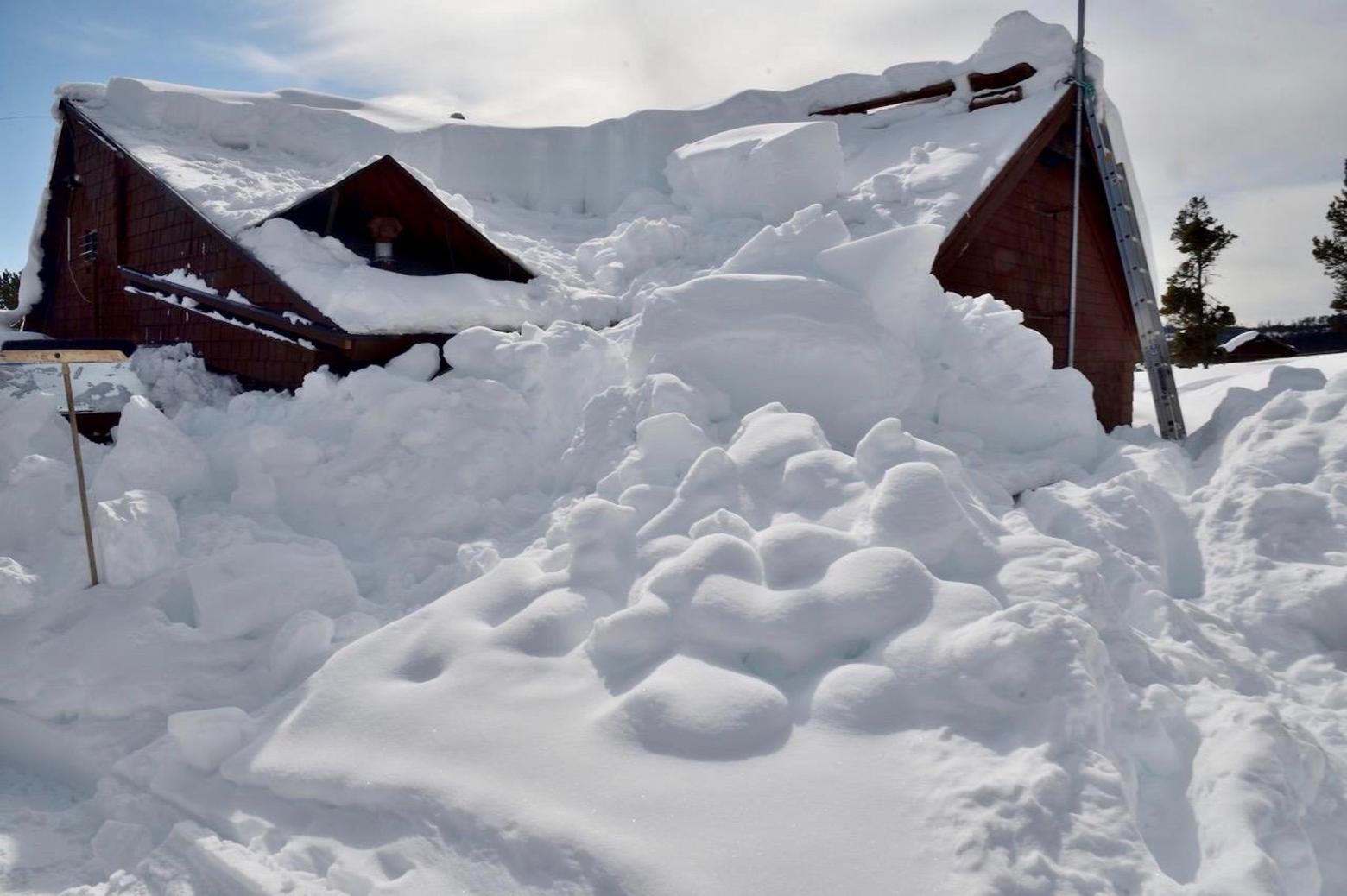 Steve Fuller, above, readies for the final heroic excavation. In order for sunlight to shine again indoors, the Yellowstone winterkeeper at Canyon faces an annual epic undertaking to clear snow that has entombed his cabin and other structures in the center of America's oldest national park.  Photo courtesy Steve Fuller