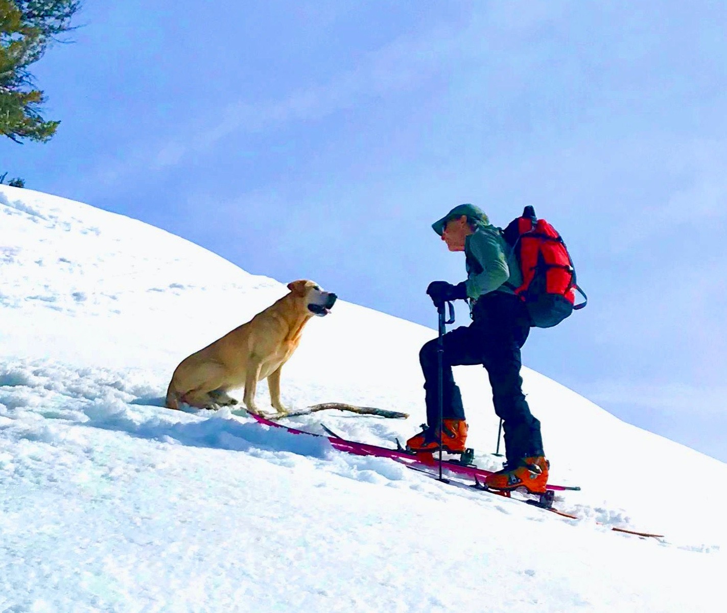 The author and his dog, Pukka, during a ski together in winter 2019 in Jackson Hole marking the occasion of both of their birthdays.  Photo by Marian Meyers
