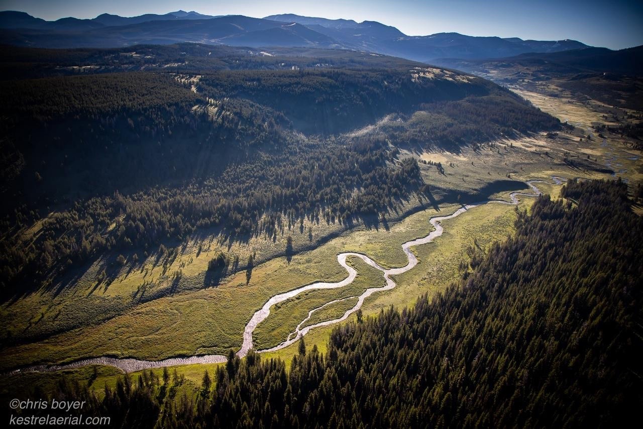 The Upper Gallatin River drainage which cuts between the Gallatin and Madison mountain ranges. Every major species of large mammal that roamed this part of Greater Yellowstone in 1491 is still there today, including bison. One would have to go to Alaska in the US to find a comparable spot.  Photo courtesy Chris Boyer (kestrelaerial.com) 
