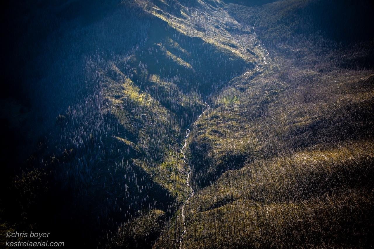 A tributary of Specimen Creek in the Gallatins reveals the ruggedness of the range in the northwest corner of Yellowstone as the mountains enter Montana. Photo courtesy Chris Boyer (kestrelaerial.com)