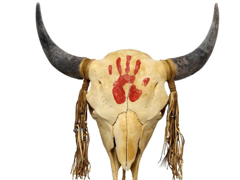 Buffalo horns: do they offer a dilemma or direction?