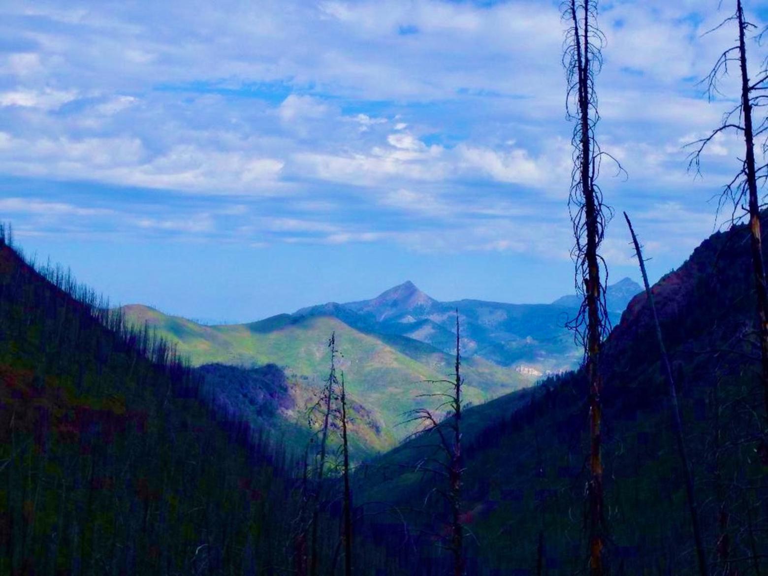 Beyond: the internationally-recognized Absaroka-Beartooth Wilderness that functions as a key piece of landscape protection for wildlife moving in and out of Yellowstone National Park and providing slow-paced solitude to humans. Photo courtesy Jesse Logan