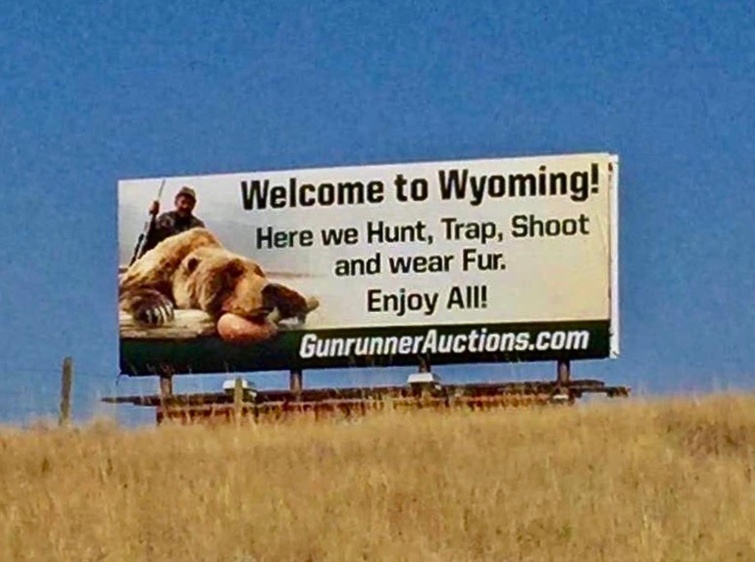 A billboard that greeted locals and tourists outside Cody, Wyoming, indicative of two different worldviews clashing over differing ideas about how to best manage bears.