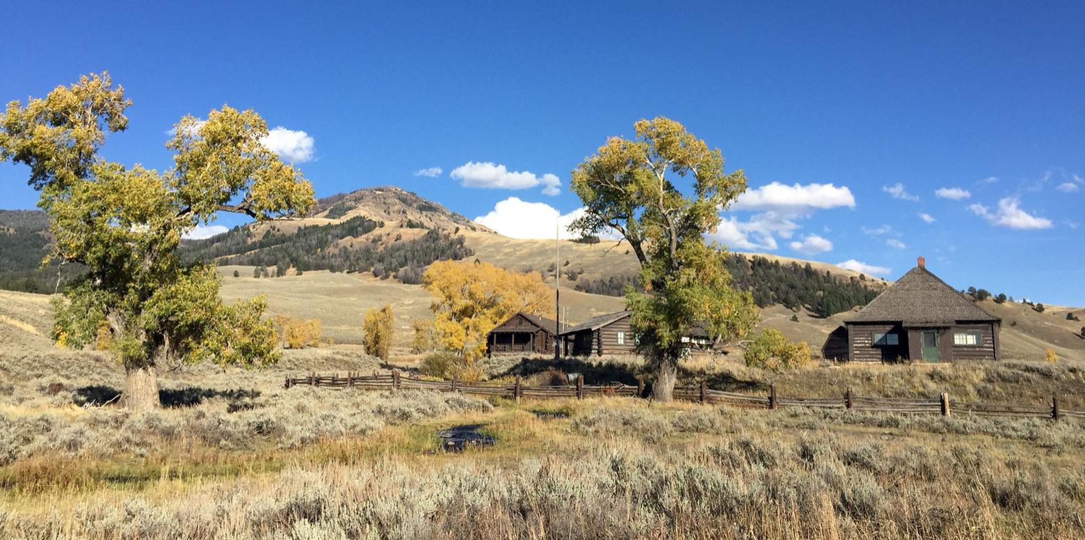 Good news for many of the Yellowstone faithful is that Diekmann hopes to re-open the now-closed Yellowstone Institute in 2021. One of the Institute's most beloved features is its field station at the historic Buffalo Ranch in Yellowstone's Lamar Valley, where wildlife watching excursions, ecology, photo and art workshops have been popular with the public.  Photo courtesy Jim Peaco/NPS