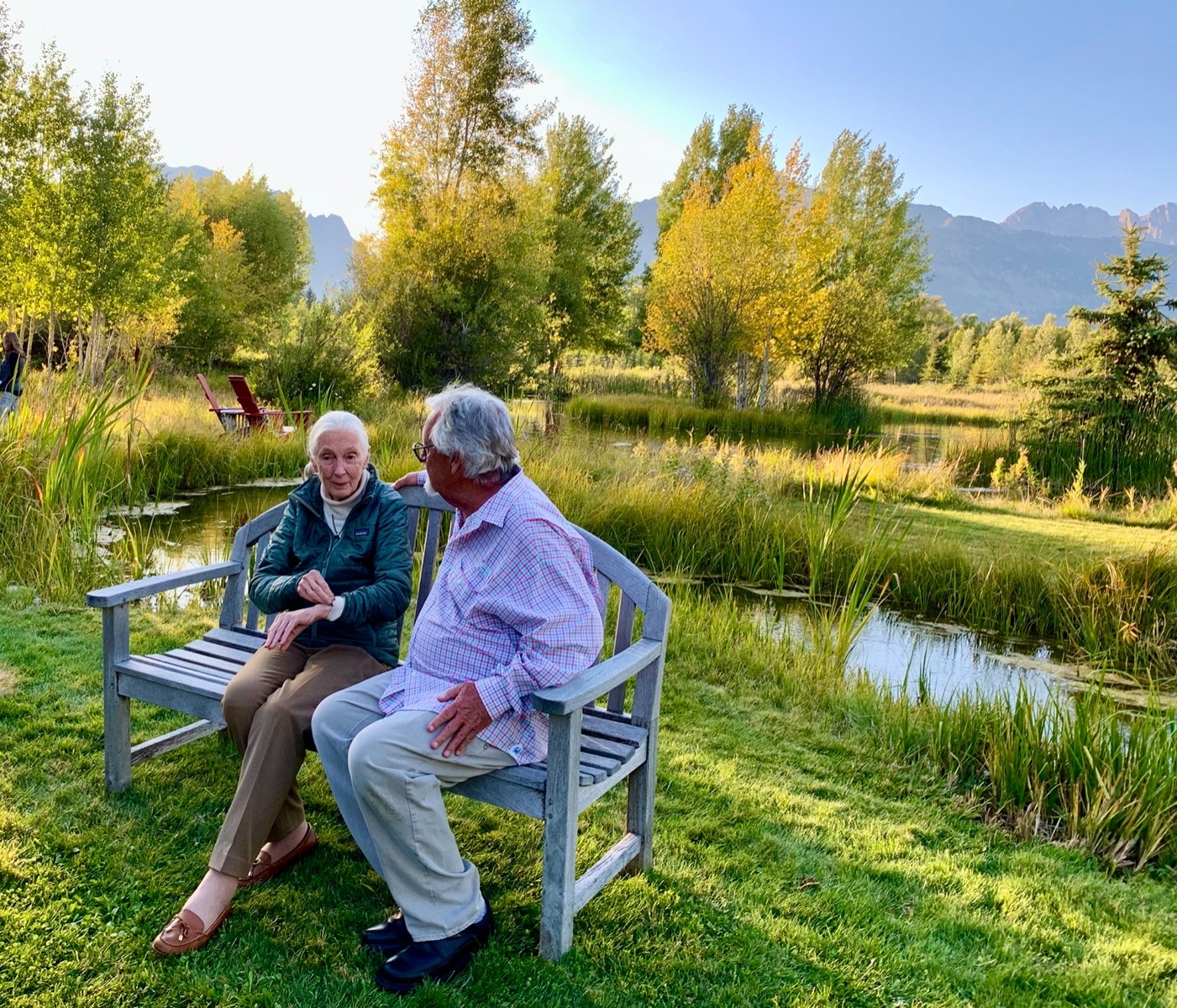 Bonded by friendship and conservation: Jane Goodall and Tom Mangelsen reminisce about their trip to Gombe Stream National Park in Tanzania during Goodall's visit to Jackson Hole in autumn 2019. Photo by Todd Wilkinson