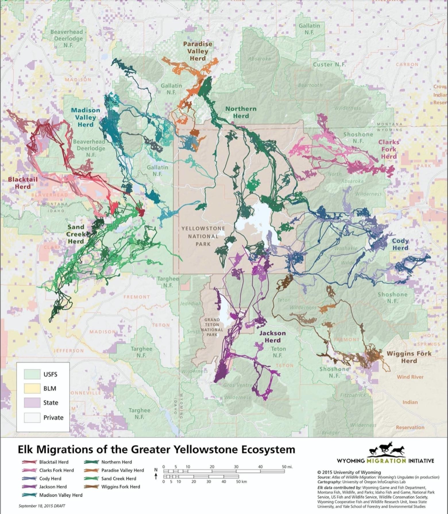 Greater Yellowstone is renowned for its wildlife in part because the diversity of animal populations still present here have vanished from most other areas of the Lower 48 states.  A question for outdoor-minded members of Generations Z through X is this: how can ancient wildlife migrations, like those for elk pictured in this map, persist with unprecedented expansion of  the human development footprint happening along with rapidly rising levels of outdoor recreation in the public land backcountry? 