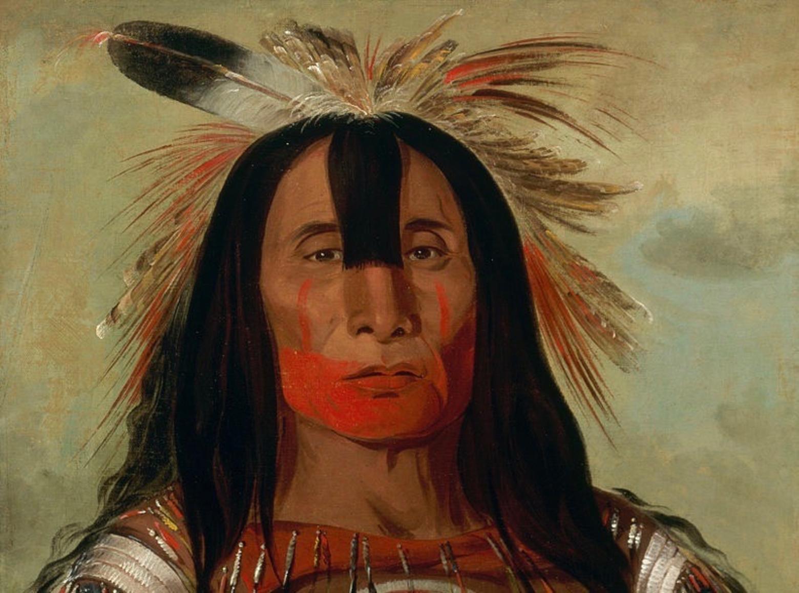 George Catlin's portrait of Buffalo Bull's Back Fat, Blackfeet leader. When a young warrior gazes into the blood of a badger, according to some indigenous stories,  its reflection is a harbinger.