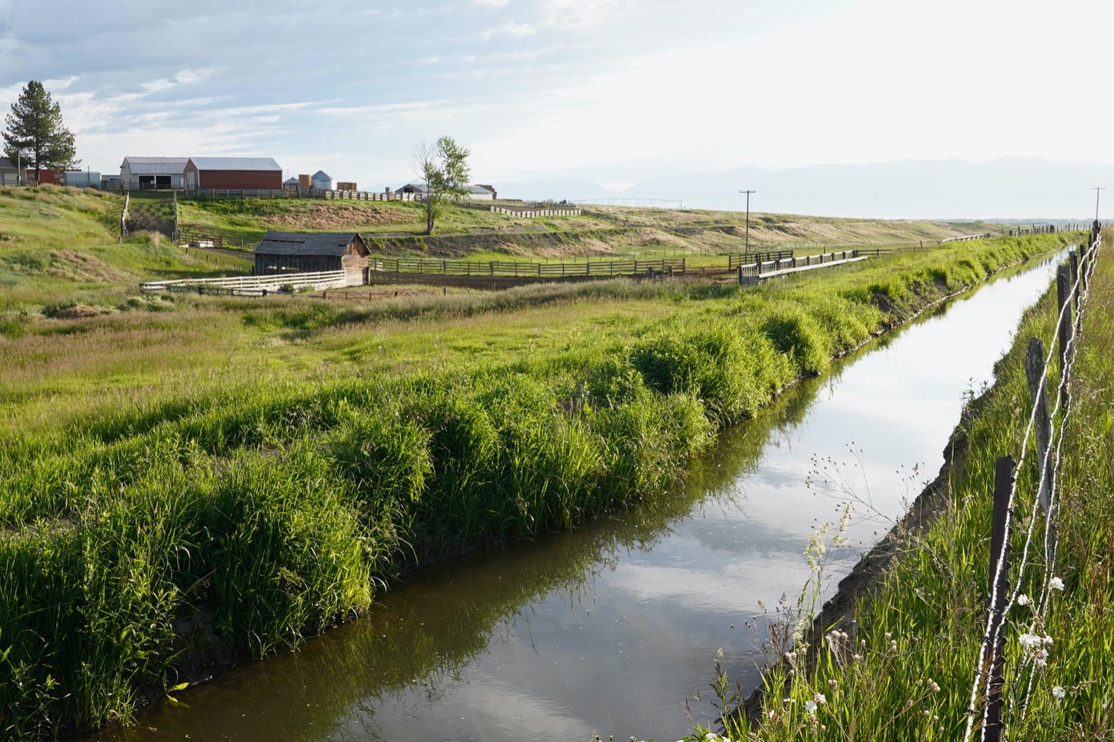 An irrigation ditch carries water from the mainstem of the Gallatin River west of Four Corners. What's the future for water for Bozeman and the Gallatin Valley as land use shifts from traditional agriculture to slaking the thirst of rapidly expanding suburbs? Further, if water becomes ever-more scarce, what are the implications for fish and wildlife?  Photo courtesy Jon Catton