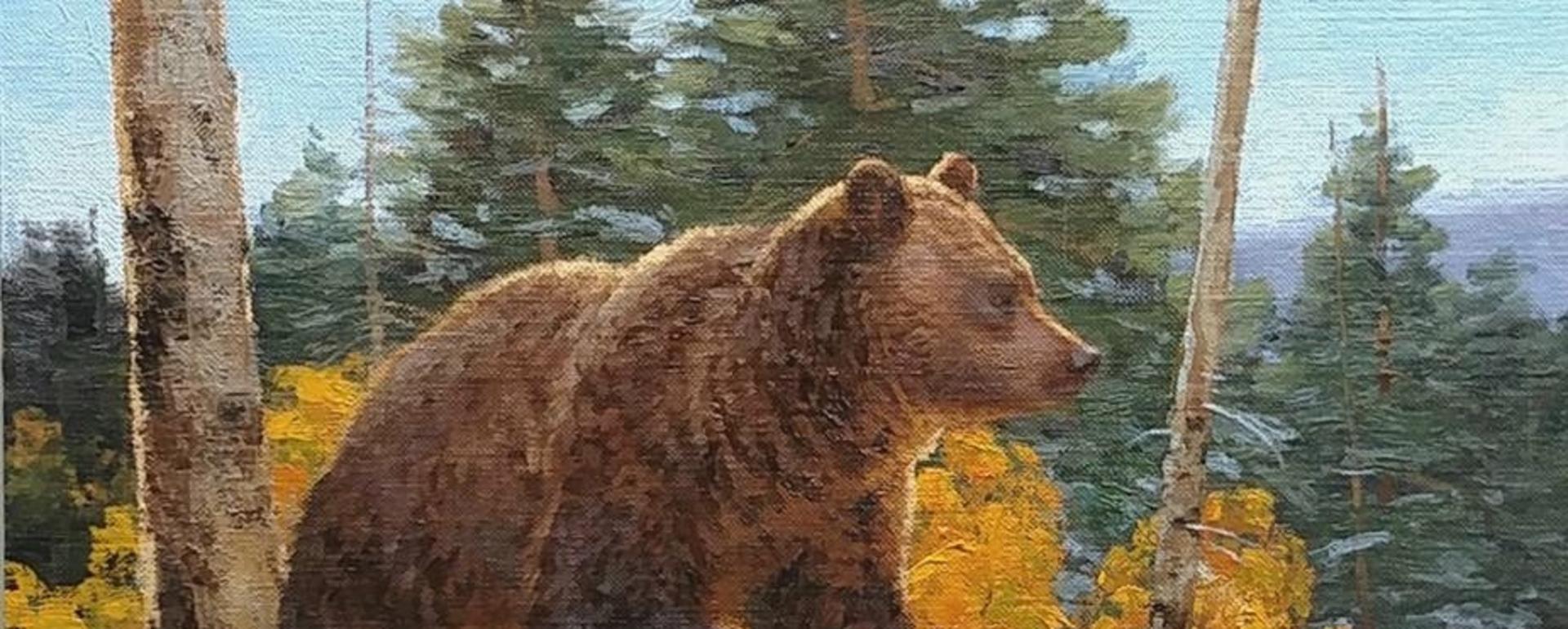 Griz spotted only a few miles from downtown Bozeman