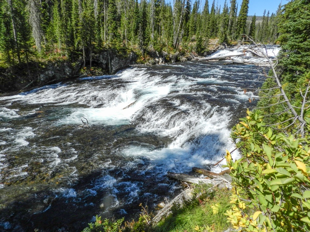 Still-wild and free Bechler River in Yellowstone, once nearly dammed to create a reservoir that would provide water for potato growers outside the park in Idaho. Photo courtesy NPS