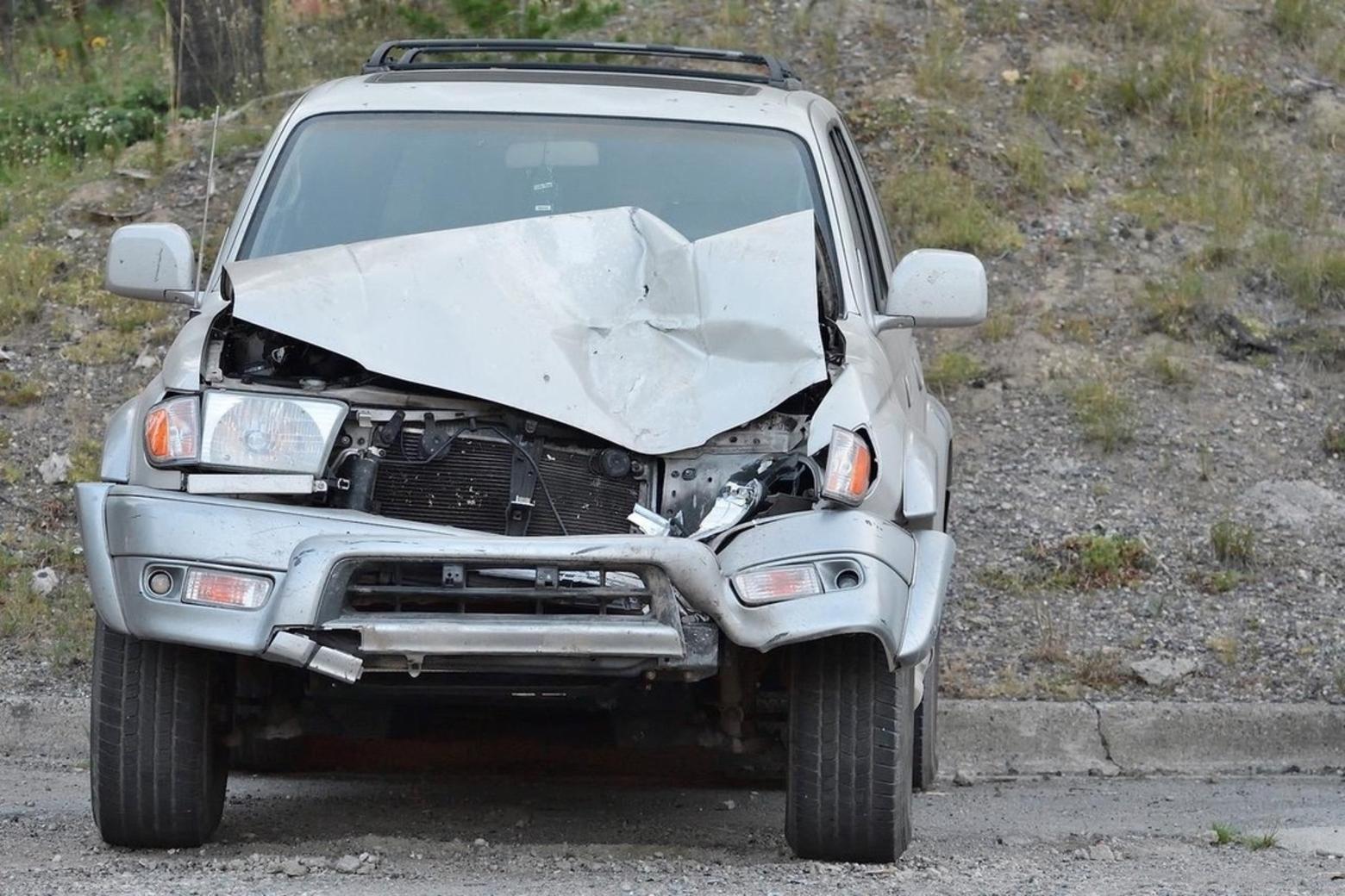 Top photo: While more than 95 percent of visitors to Yellowstone come in physical contact with less than five percent of the park, in developed areas and along the road system, wildlife still dwells within the long shadows of human presence and impacts. Photo just above: The aftermath of a car colliding with one of Yellowstone's wild ungulates.