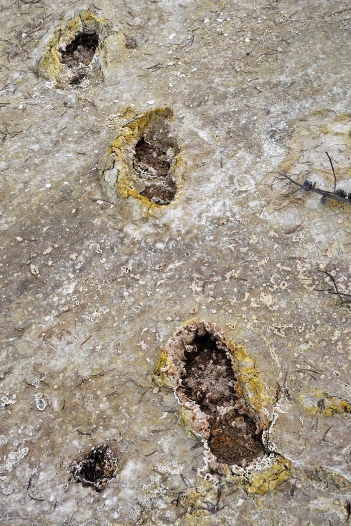 The track of a visitor who defied signs requiring tourists to stay on the boardwalks in order to protect fragile geothermal wonders. Instead, the individual left behind indelible footprints.  Photo courtesy Steven Fuller