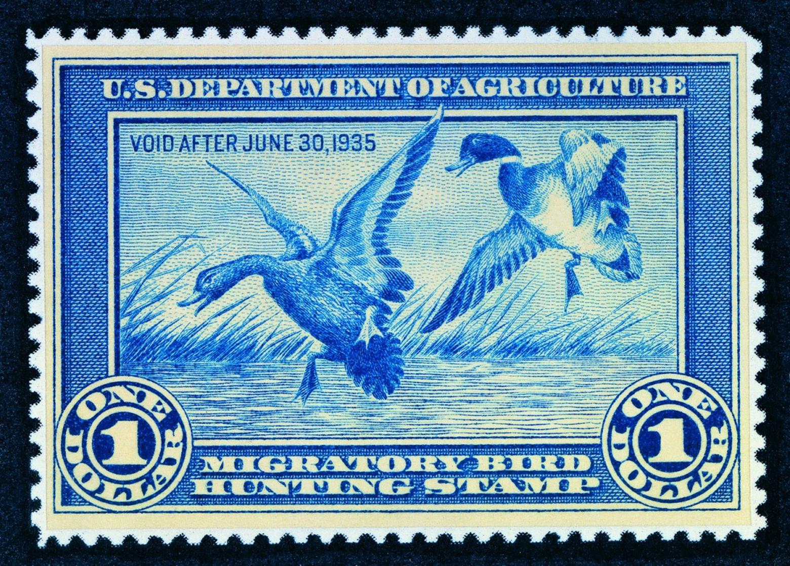 Since the mid 1930s, the sale of federal duck stamps have generated nearly $1 billion for wetlands conservation, including the protection of six million acres of land that benefits many hundreds of species. It's one of the most successful conservation fundraisers on the planet. But as waterfowl hunter numbers decline, what kinds of alternative funding sources will there be to keep the benefits going?