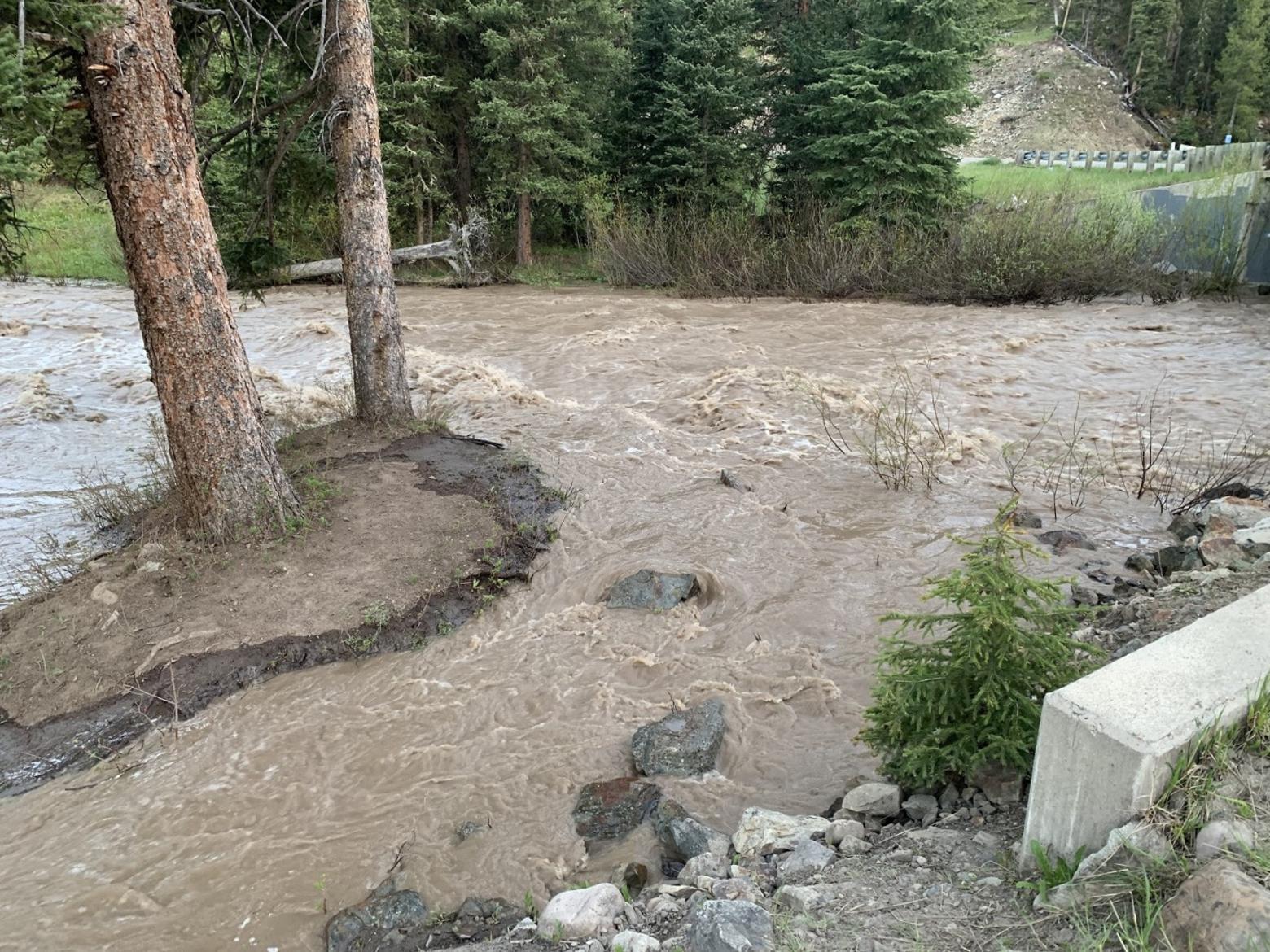 Lots of things can cause turbidity in rivers, i.e. soils being washed by erosion into otherwise healthy waterways, turning them muddy which can harm fish and water quality. Even soil erosion coming off of ski areas and mechanized recreation trails can contribute to turbidity in streams like the blue-ribbon Gallatin upstream of Big Sky, Servheen writes. The Gallatin also has dealt with pollution caused by leaking sewage facilities in and around Big Sky. Photo courtesy Calvin Servheen.