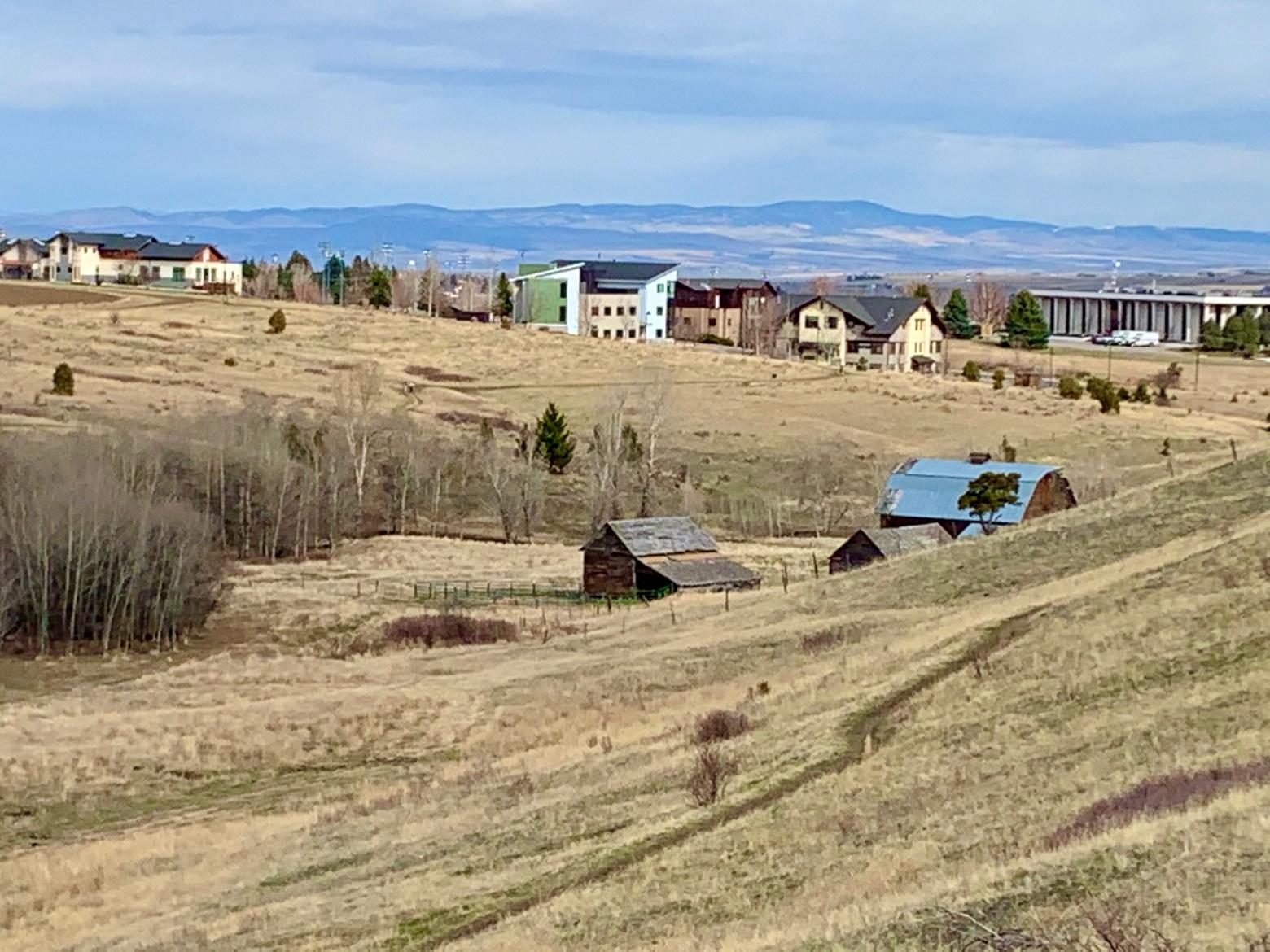Just east of Bozeman, a traditional farmstead is enveloped by creeping residential and commercial dveleopment.  Any boundary between "urban" and "rural" is haphazardly arranged with no organization.  Worse, yes pockets of "open space" exist but over time they hold less and less value for wildlife, save for "weedy" white-tailed deer that can thrive almost anywhere while elk, mule deer and moose cannot. Photo by Todd Wilkinson