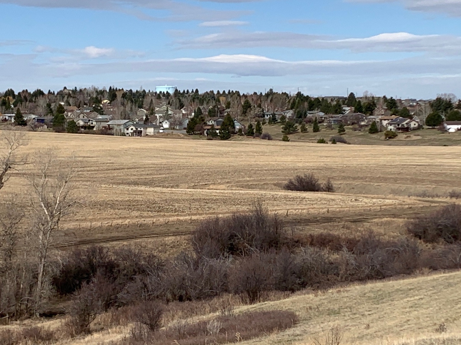 From this view it looks like the advance of urban Bozeman stops on a hard line but it's misleading. Were one to turn 180 degrees in the other direction, the view would reveal islands of rural subdivisions in Gallatin County that already have displaced wildlife. The impacts will really take hold as infill occurs and migration corridors for species like elk are lost. This same scenario exists in valleys throughout Greater Yellowstone.  Photo by Todd Wilkinson