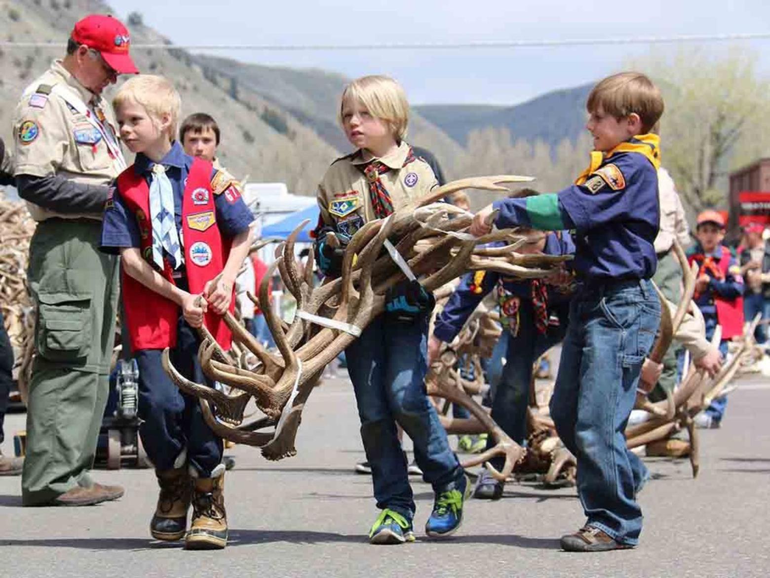 For generations, members of local Cub Scout troops in Jackson Hole would gather antlers every spring on the National Elk Refuge and then sell them at auction to raise funds for Refuge operations and support ongoing scouting operations. Since its beginning, Cub Scouts were solely the domain of boys with Brownies and Girl Scouts being the gender alternative. Today, scouting nationwide is arrayed under a common banner that brings both boys and girl together.  That includes participating in antler collection.  Photo courtesy Lori Iverson/US Fish and Wildlife Service
