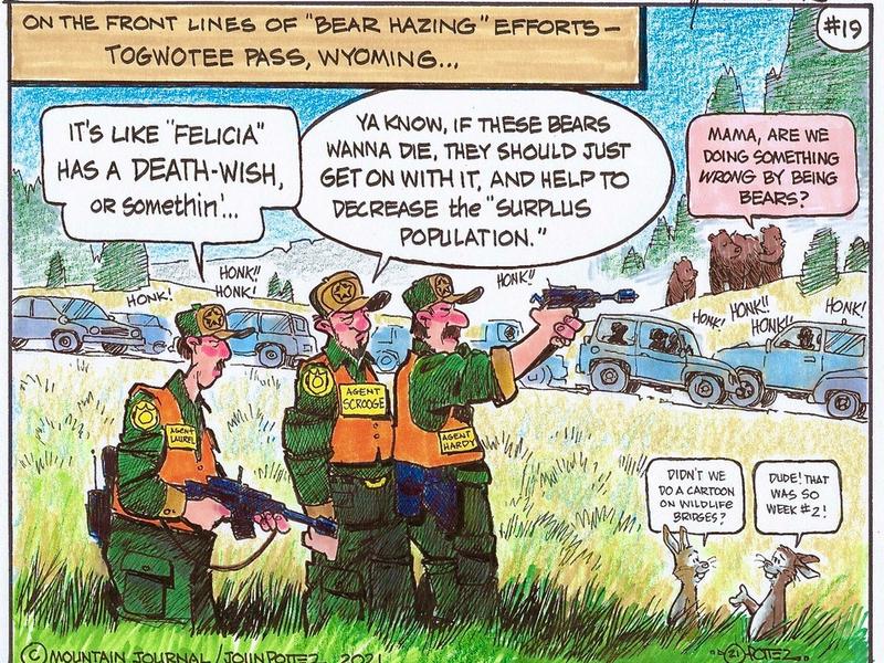 How again is Felicia a "problem" bear?