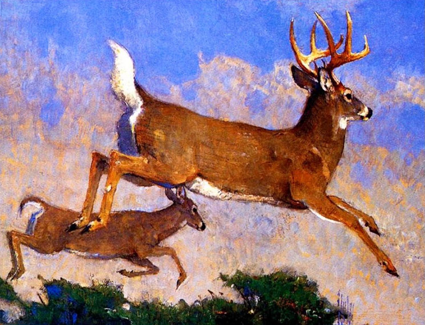 Sketch of running white-tailed deer by Bob Kuhn (1920-2007).  You can also see more of Kuhn's finished easel paintings at the National Museum of Wildlife Art in Jackson Hole, Wyoming