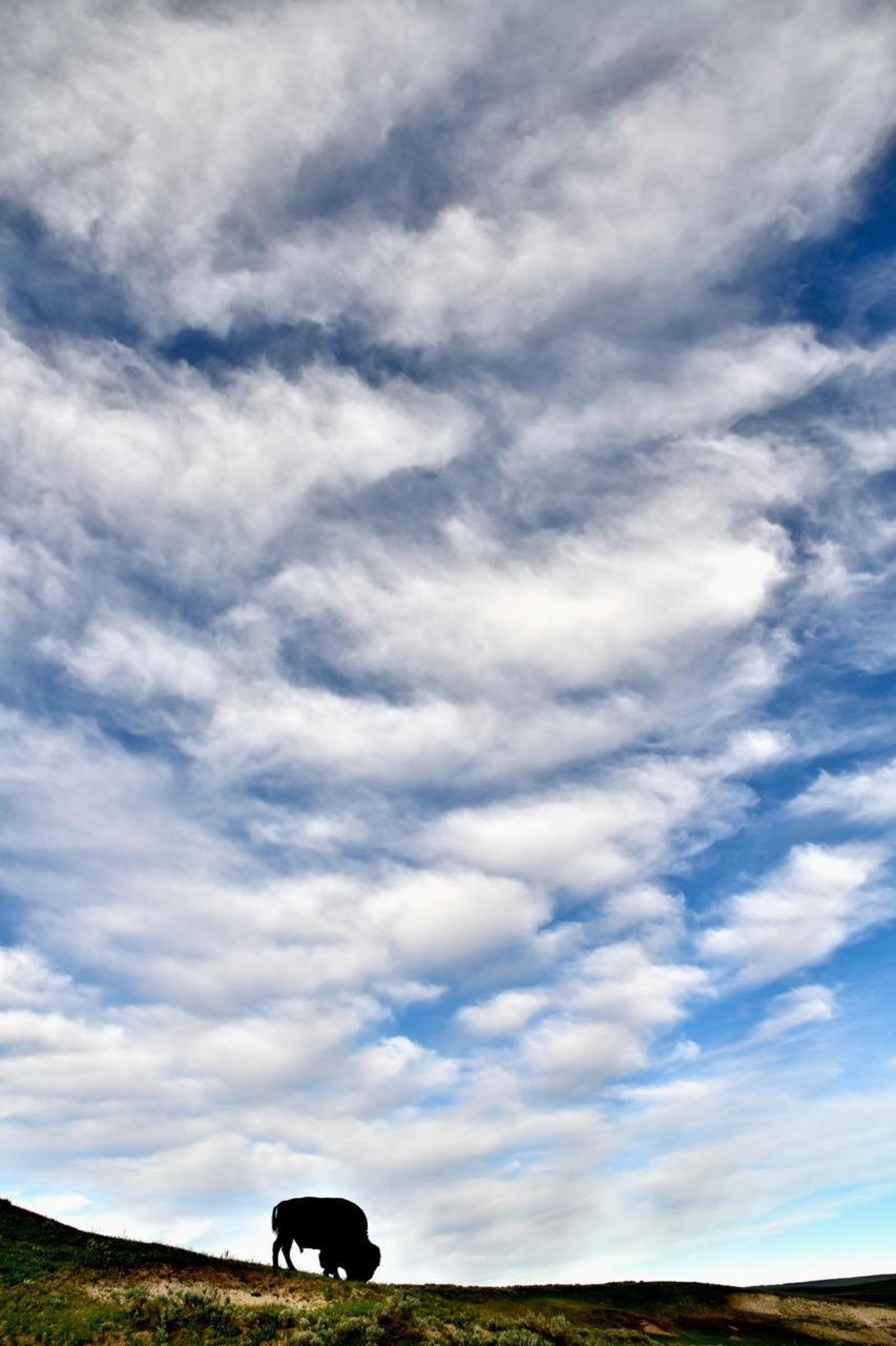 The panoply of clouds each day is a commentary on the nuances of the day's seasonal weather here on the Yellowstone Plateau.