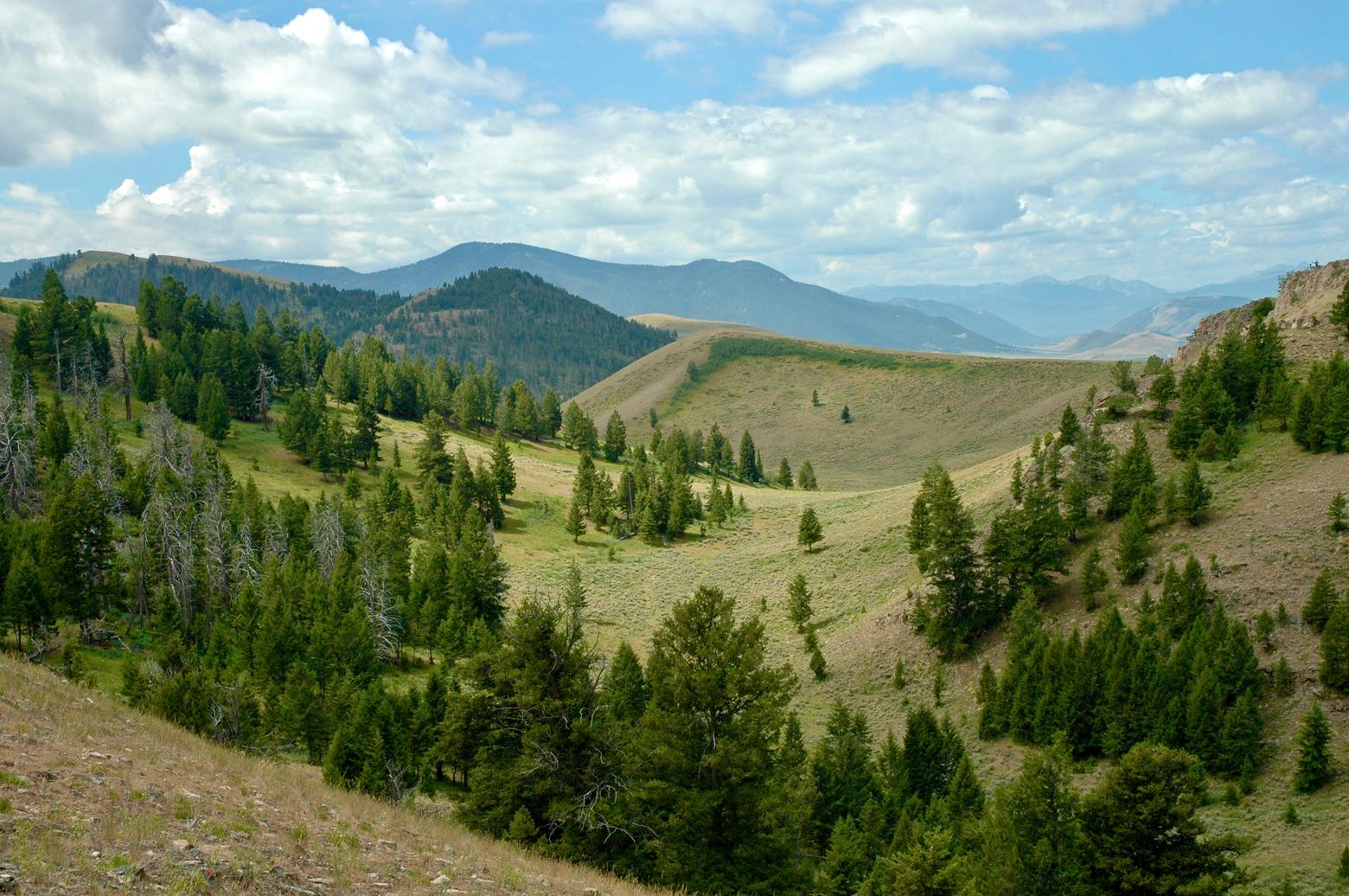 We all have our favorite enchanting retreats in the backcountry and we believe we have no impact.  But when Susan Marsh became aware that her presence was disrupting wildlife, especially amid record numbers of other humans invading nature and in a year like this when low water and heat are stressing wild species , she took bold action. Photo courtesy Susan Marsh