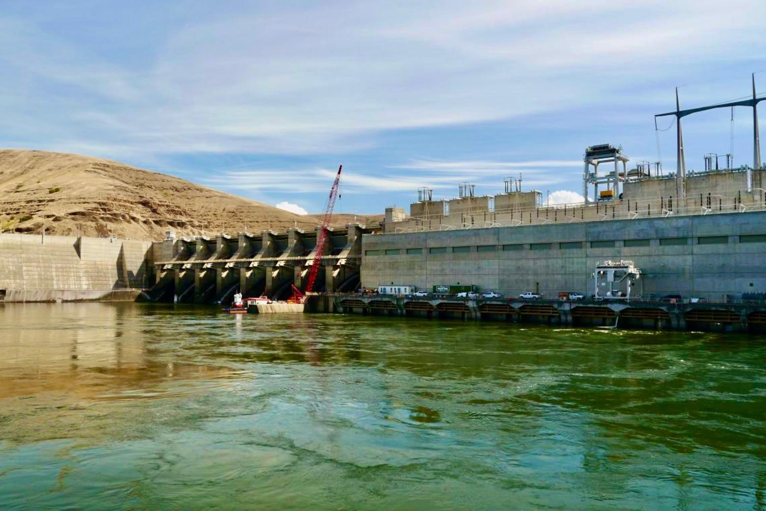 After decades of denial, spiraling fish declines, billions spent trying to re-engineer a fix and irreverence for science, it's now clear that dam removal is necessary if America is going to save its salmon in the Pacific Northwest.  Equivalent to the near-extinction of bison, recovery is possible but it requires courage, especially with the additive negative impacts of climate change. Photo of  dam courtesy Trout Unlimited
