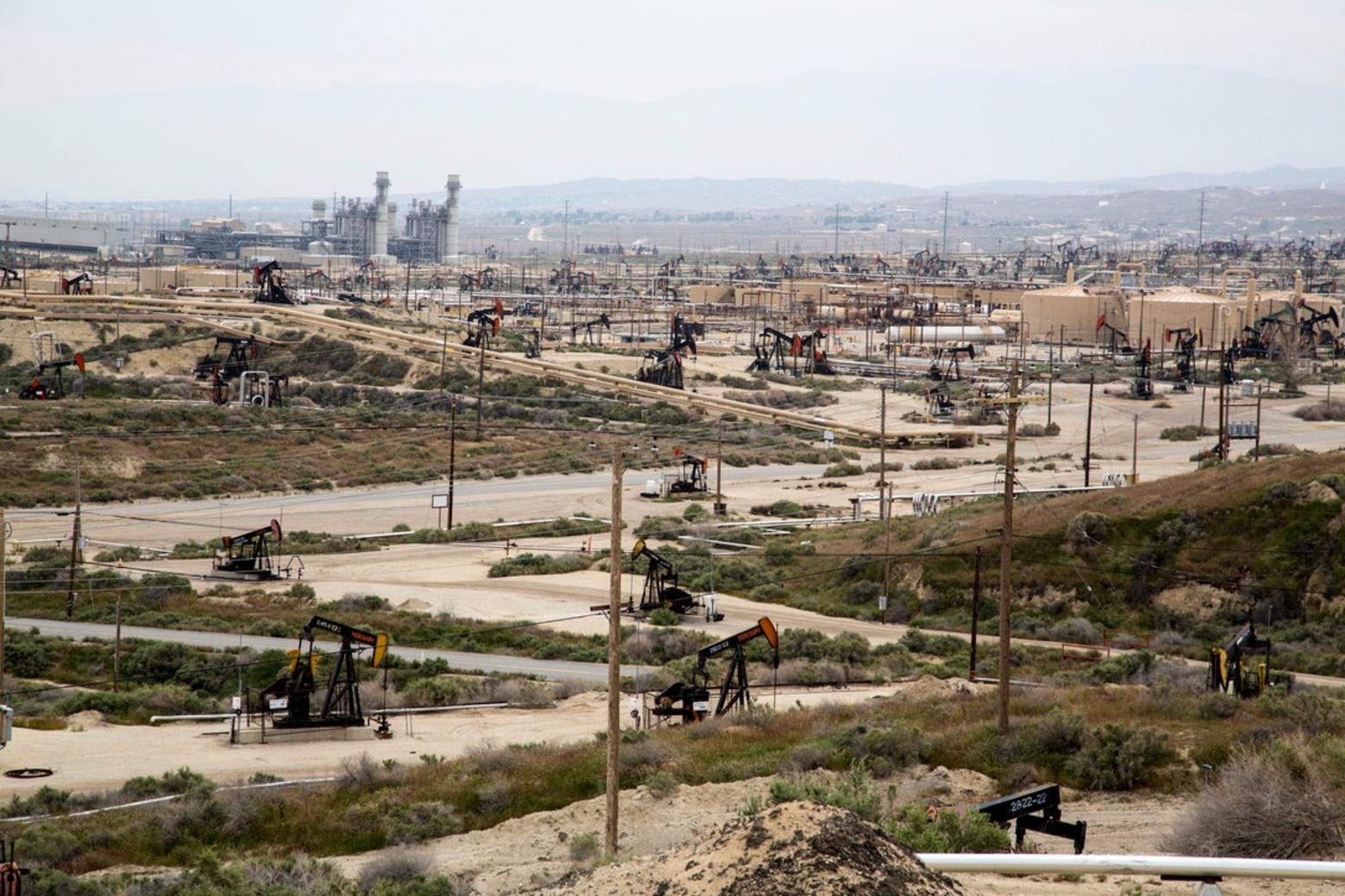 What does full-field oil and gas development look like when it's permitted by the BLM? Like this, in central California. The BLM has come under sharp criticism for its permitting of energy development in the Upper Green River Basin of Wyoming, too where gas drilling and its related infrastructure has disrupted wildlife migrations, had negative impacts on mule deer an destroyed leks used by imperiled Greater sage-grouse. Photo courtesy Bob Wick/BLM